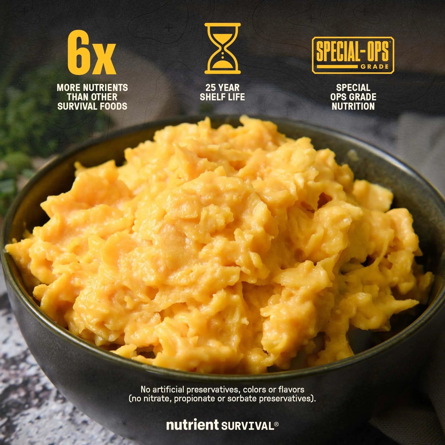 70 Egg Equivalent Nutrient Survival Vitamin Powdered Eggs Blend, Freeze Dried Prepper Supplies & Emergency Food Supply, 33 Essential Nutrients, Gluten Free, Shelf Stable Up to 25 Years - Fresh Hearth