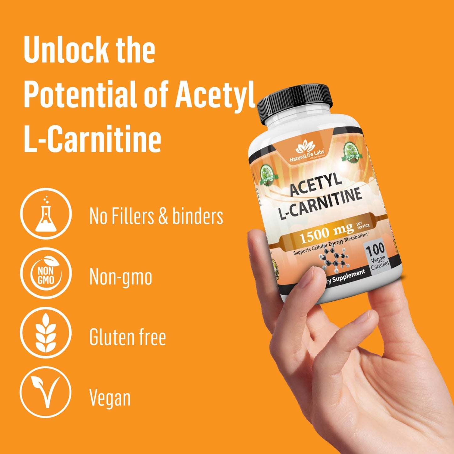 Acetyl L - Carnitine 1,500 mg High Potency Supports Energy Production, Sports Nutrition, Supports Memory/Focus - 100 Veggie Capsules - Fresh Hearth