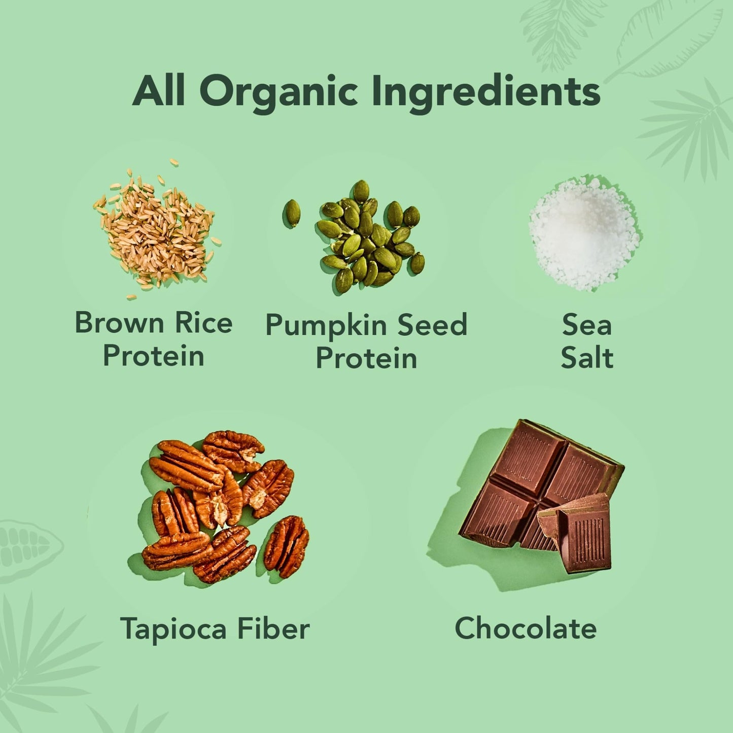 ALOHA Organic Plant Based Protein Bars | Chocolate Caramel Pecan | 12 Count, 1.98oz Bars | Vegan, Low Sugar, Gluten Free, Paleo Friendly, Low Carb, Non - GMO, Stevia Free, Soy Free, No Sugar Alcohol Sweeteners - Fresh Hearth