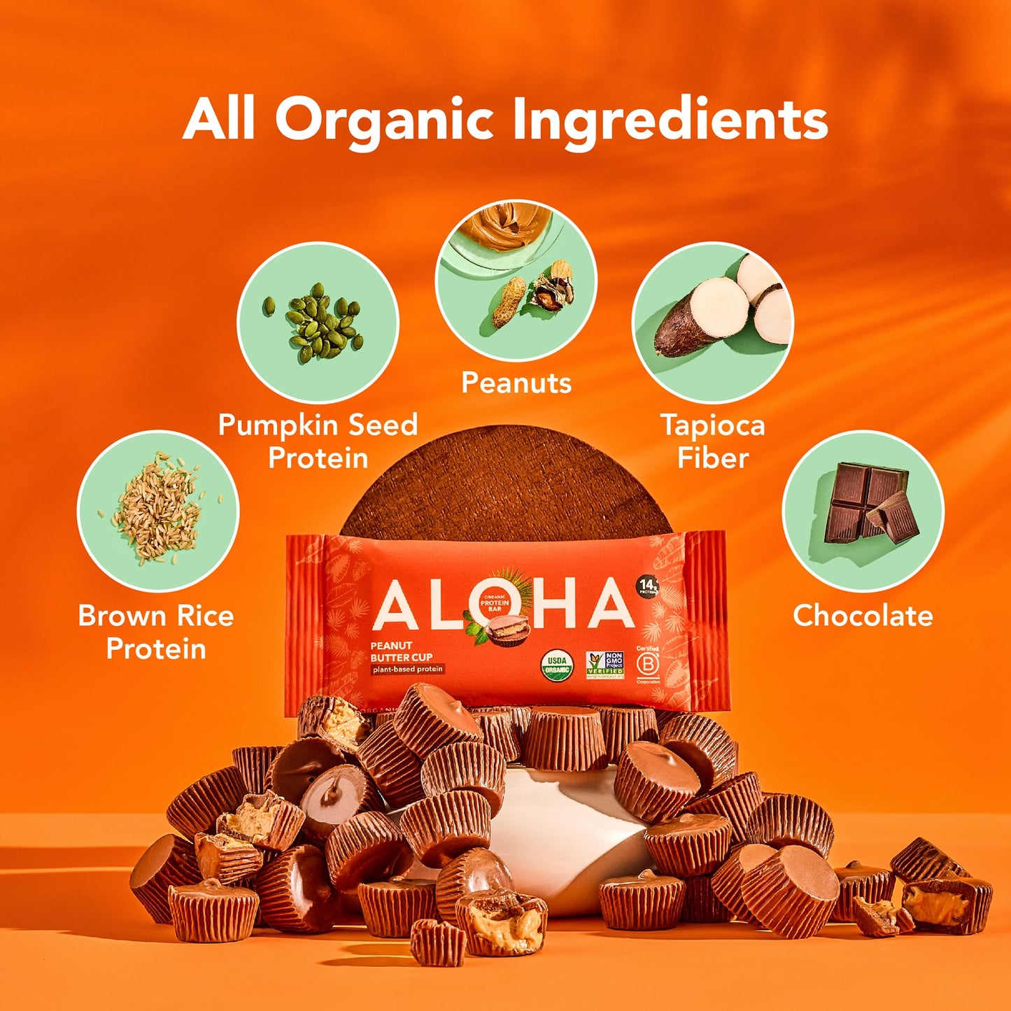 ALOHA Organic Plant Based Protein Bars - Peanut Butter Cup Bar - 12 Bars, Vegan, Low Sugar, Gluten - Free, Low Carb, Non - GMO, No Stevia, No Erythritol - Fresh Hearth