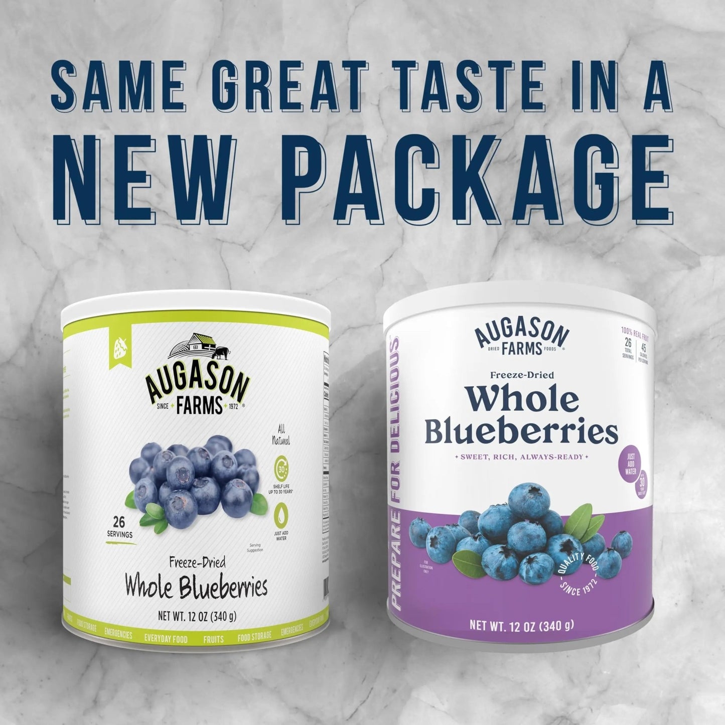 Augason Farms Freeze Dried Whole Blueberries Can, Emergency Food Supply, Everyday Meals, 26 Servings - Fresh Hearth