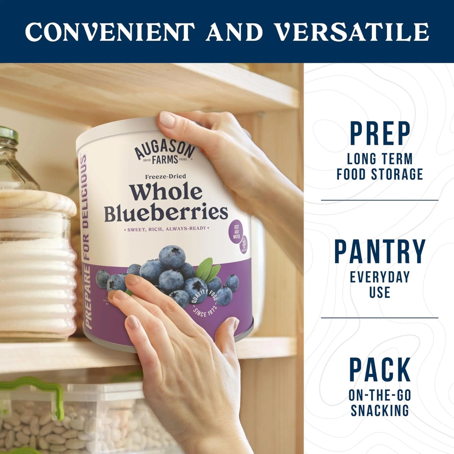 Augason Farms Freeze Dried Whole Blueberries Can, Emergency Food Supply, Everyday Meals, 26 Servings - Fresh Hearth