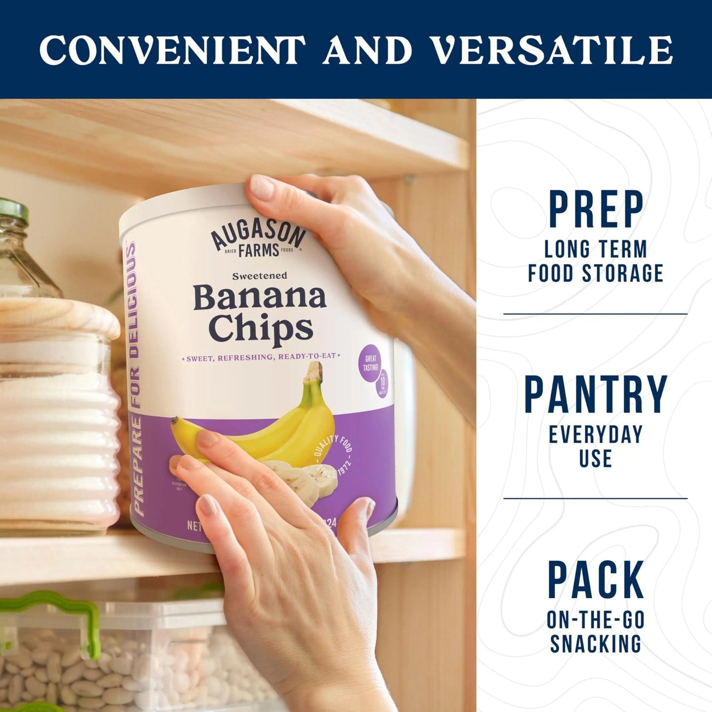 Augason Farms Sweetened Banana Chips Can, Emergency Food Supply, Everyday Meals, 31 Servings (Packaging May Vary) - Fresh Hearth