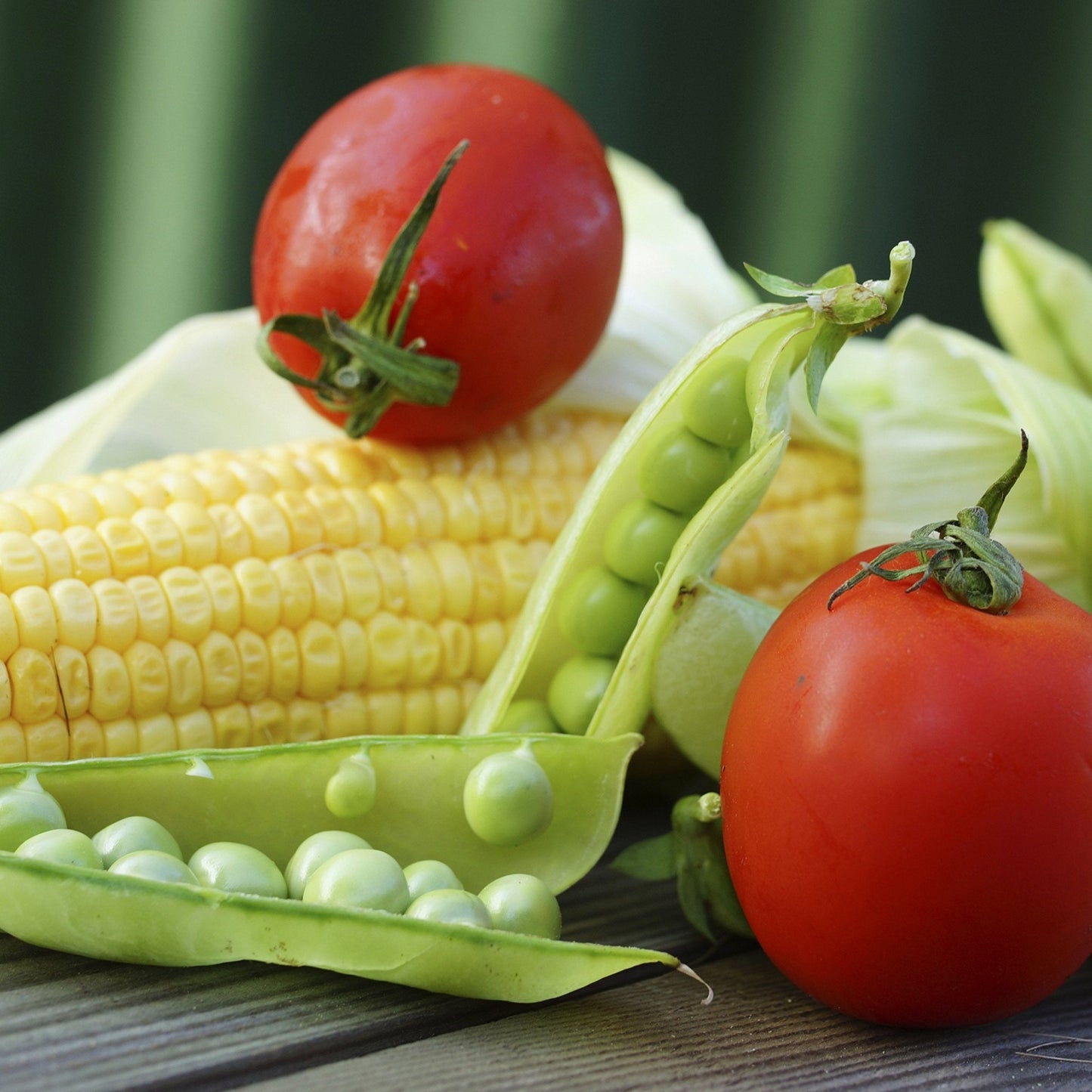 Augason Farms Vegetable Garden Seeds 13 Variety 1 lb No. 10 Can - Fresh Hearth