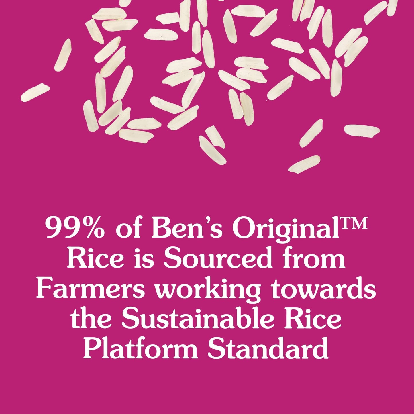 BEN'S ORIGINAL Ready Rice Roasted Chicken and Spanish Style Flavored Rice Variety Pack, Easy Dinner Sides, 8.8 OZ Pouch (Pack of 6) - Fresh Hearth
