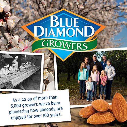 Blue Diamond Almonds Dark Chocolate Cocoa Dusted Snack Nuts, 100 Calorie Packs, (Pack of 1, 32 Count Toal) - Fresh Hearth