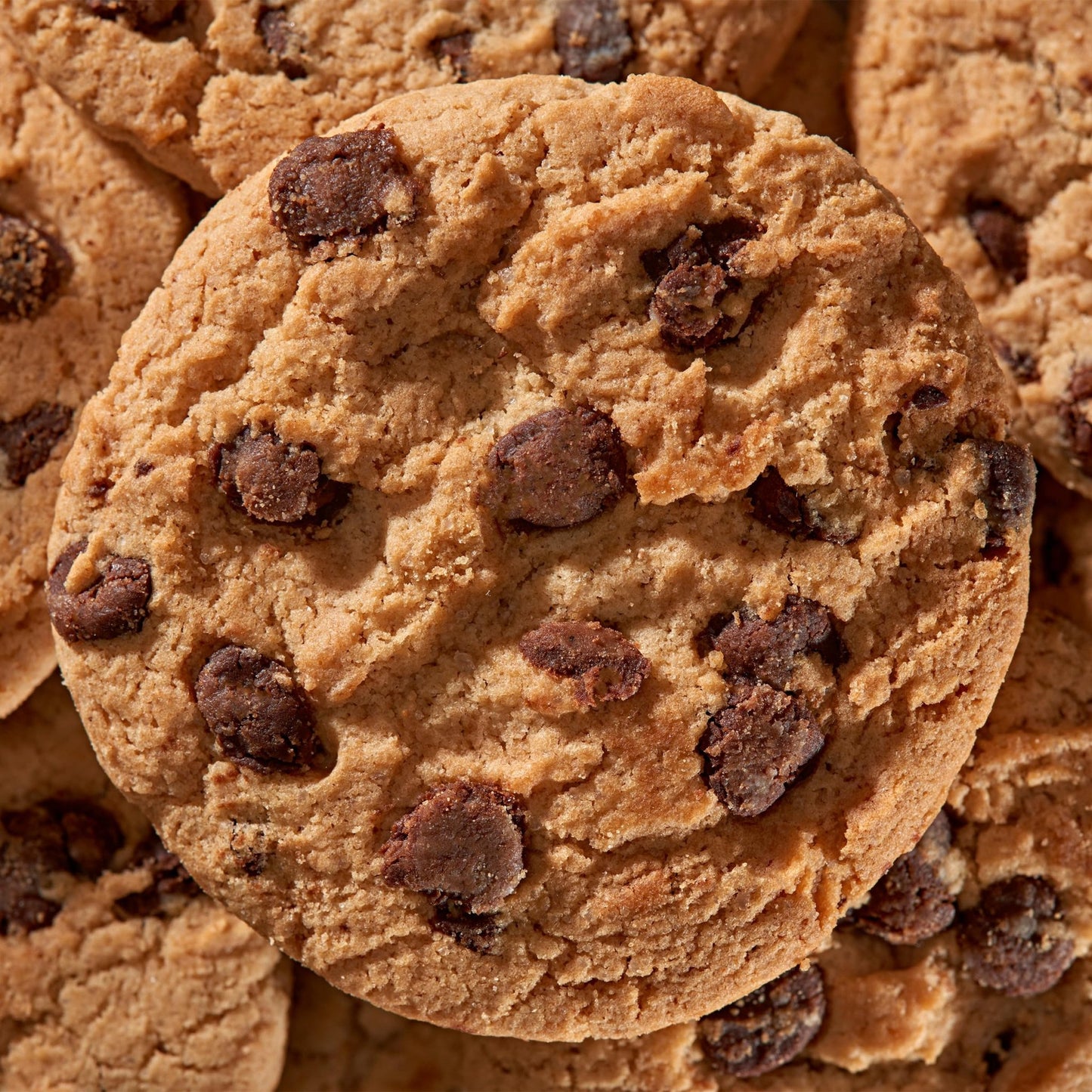 CHIPS AHOY! Original Chocolate Chip Cookies, 20 Snack Packs (2 Cookies Per Pack) - Fresh Hearth