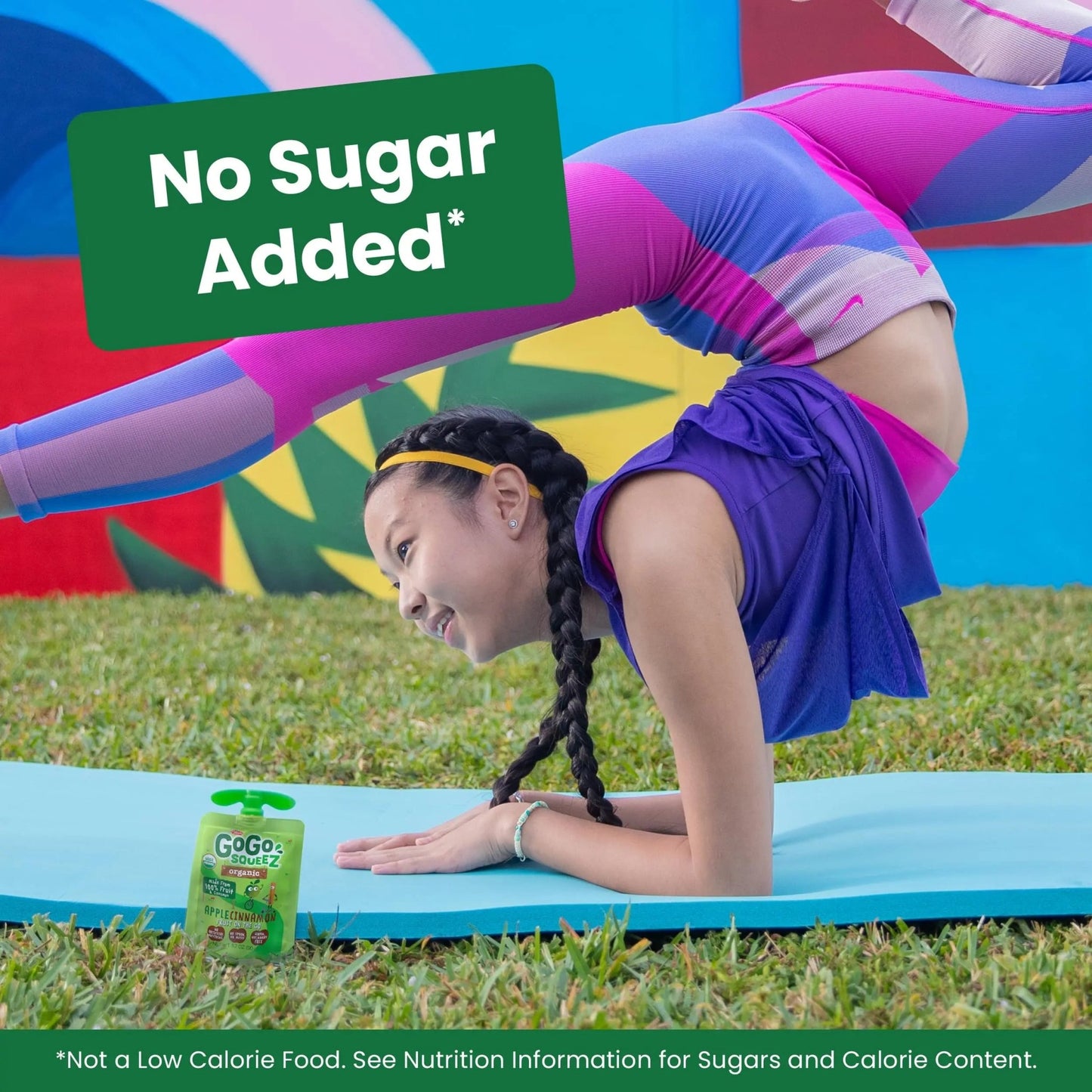 GoGo squeeZ Organic Applesauce and Fruit Puree, Variety Pack, Apple, Strawberry & Banana, 3.2 oz (Pack of 12), Unsweetened Organic Fruit Snacks for Kids, No Gluten, Nut & Dairy, BPA Free Pouches - Fresh Hearth