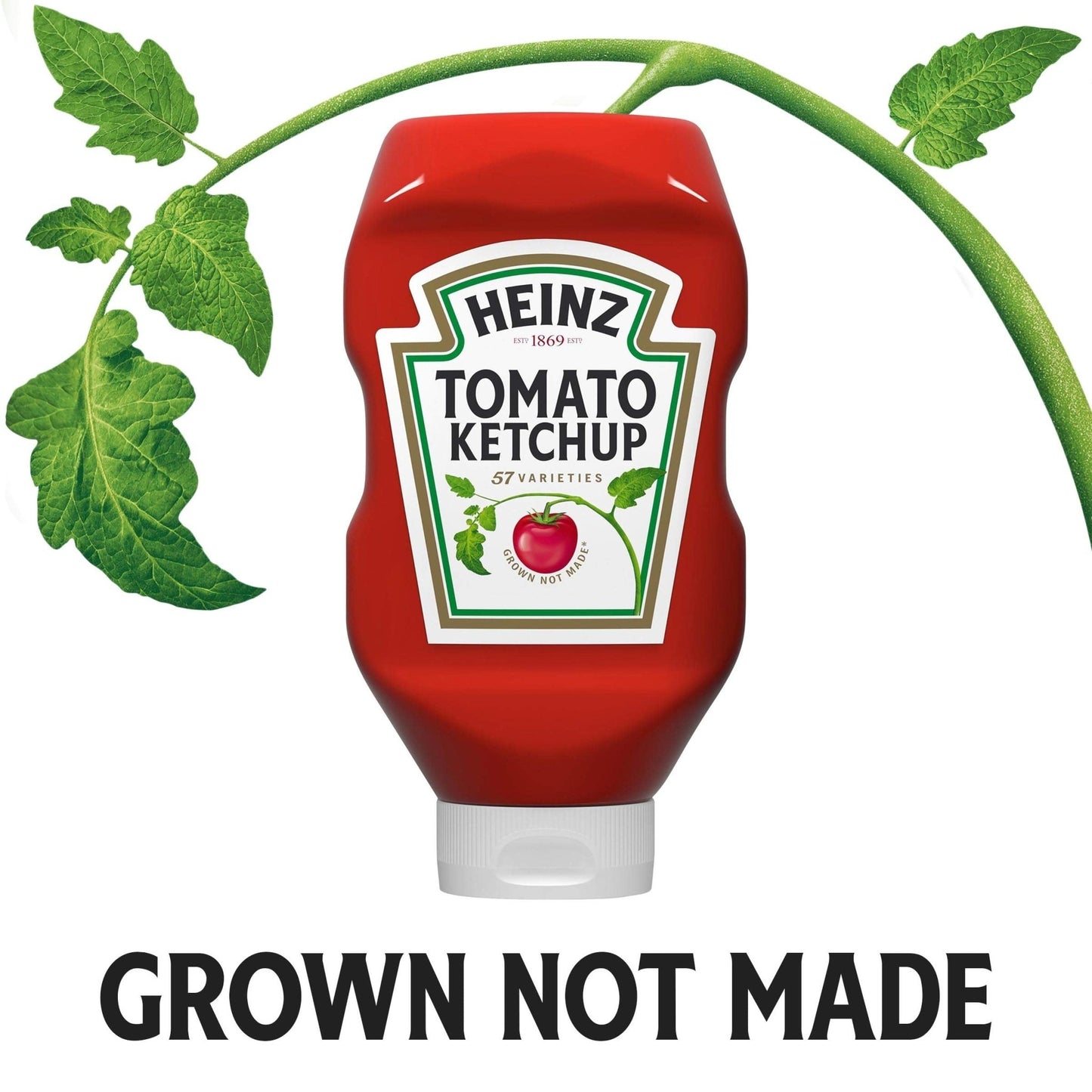 Heinz Tomato Ketchup (32 oz Bottles, Pack of 12) - Fresh Hearth