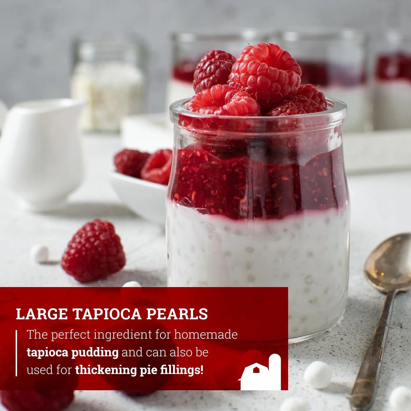 Hoosier Hill Farm Large Tapioca Pearls, 2LB (Pack of 1) - Fresh Hearth