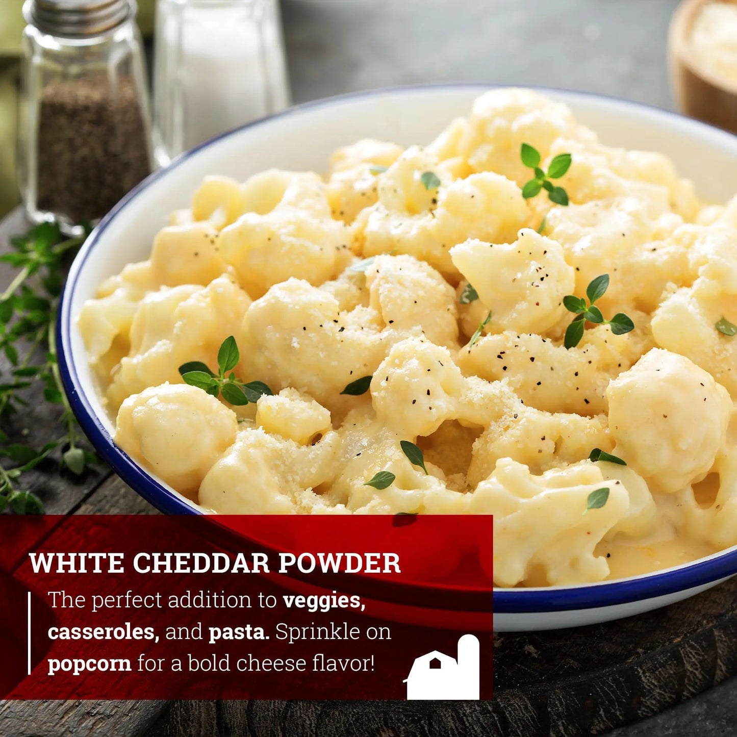Hoosier Hill Farm White Cheddar Cheese Powder, 1LB (Pack of 1) - Fresh Hearth