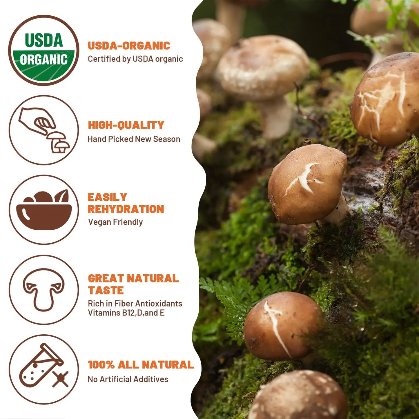ONETANG Organic Dried Mushrooms, Natural Dried Mushrooms - Premium Flavors |AAA Grade Extra Dry Mushrooms for Soups, Sauces, Pasta and Risotto, Rehydrate Quickly, All Natural & Vegan | 16 Oz - Fresh Hearth