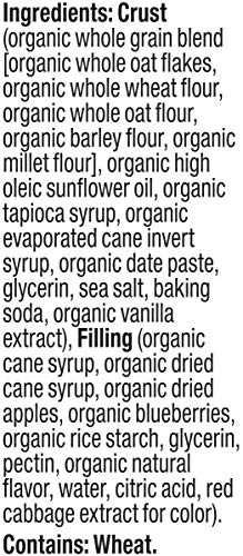 Plum Organics Jammy Sammy Snack Bars - Blueberry and Oatmeal - 1.02 oz Bars (Pack of 10) - Organic Toddler Food Snack Bars - Fresh Hearth