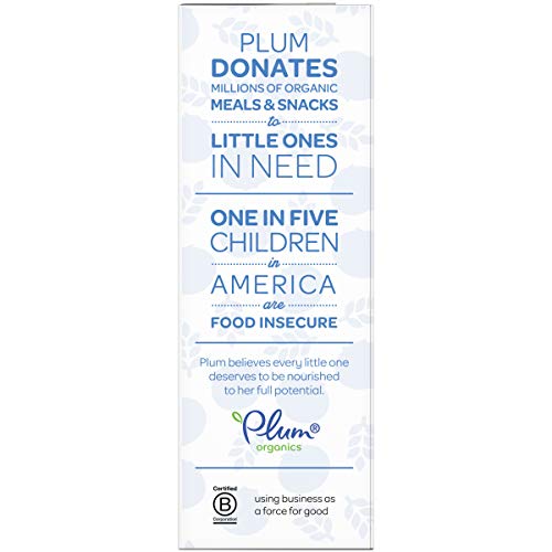 Plum Organics Jammy Sammy Snack Bars - Blueberry and Oatmeal - 1.02 oz Bars (Pack of 10) - Organic Toddler Food Snack Bars - Fresh Hearth