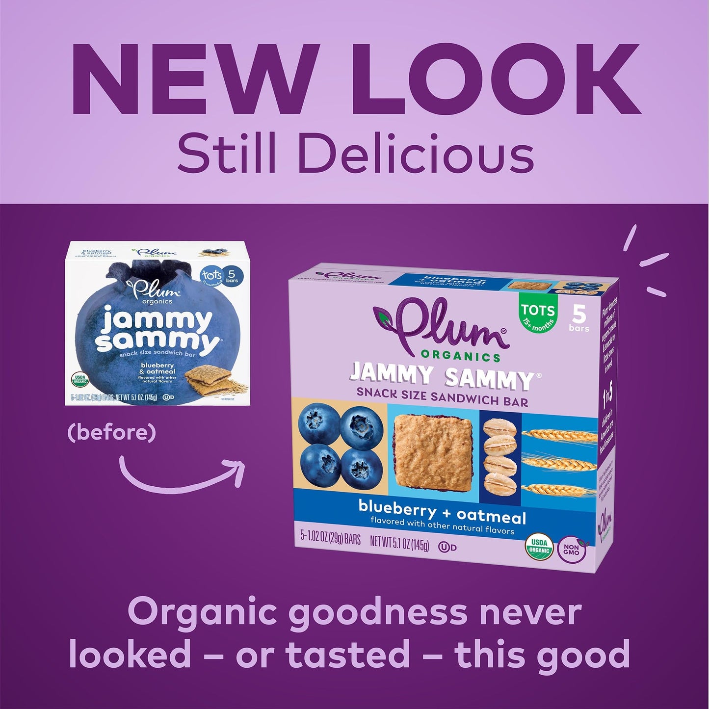 Plum Organics Jammy Sammy Snack Bars - Blueberry and Oatmeal - 1.02 oz Bars (Pack of 10) - Organic Toddler Food Snack Bars - Fresh Hearth