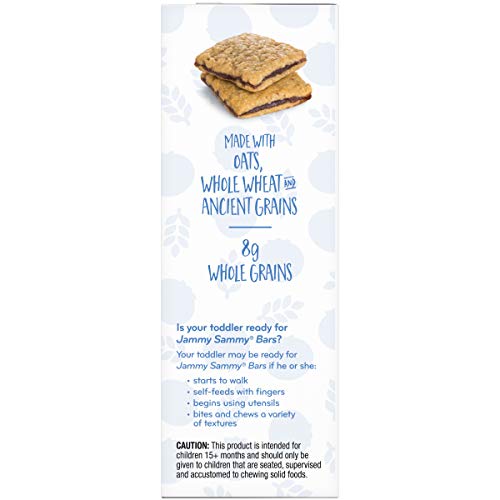 Plum Organics Jammy Sammy Snack Bars - Blueberry and Oatmeal - 1.02 oz Bars (Pack of 10) - Organic Toddler Food Snack Bars - Fresh Hearth