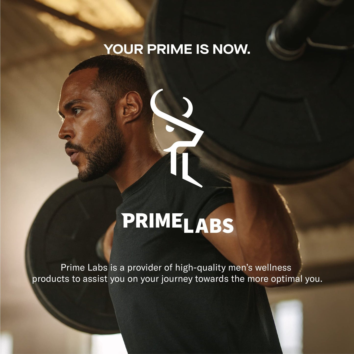 Prime Labs - Men's Testosterone Booster - Stamina, Endurance, & Strength Booster - 60 Caplets - Fresh Hearth