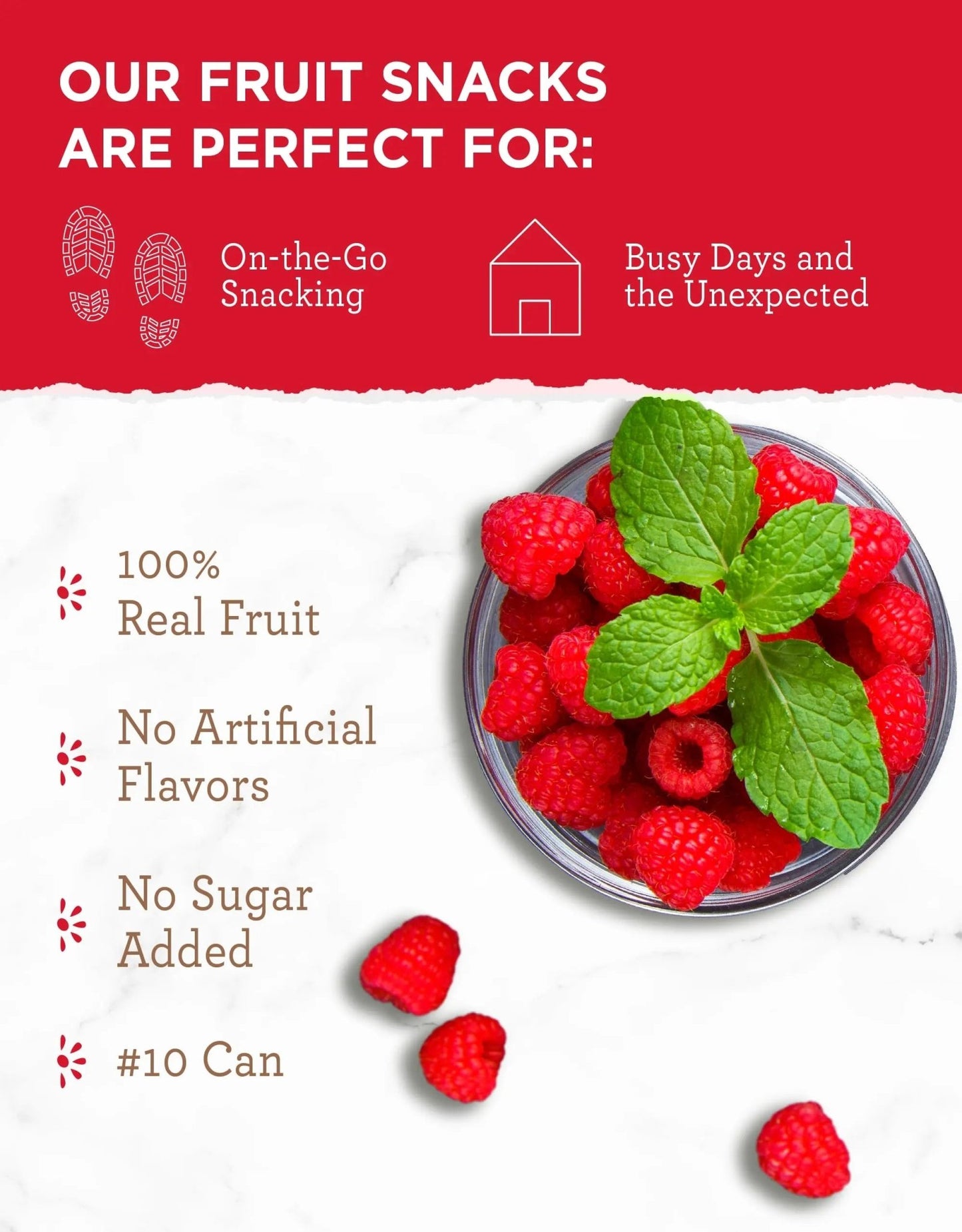 READYWISE - Simple Kitchen Freeze Dried Raspberries, 22 Servings, Vegan, Gluten Free, Healthy Snack, Survival Food, Dried Fruit, Raspberries - Fresh Hearth