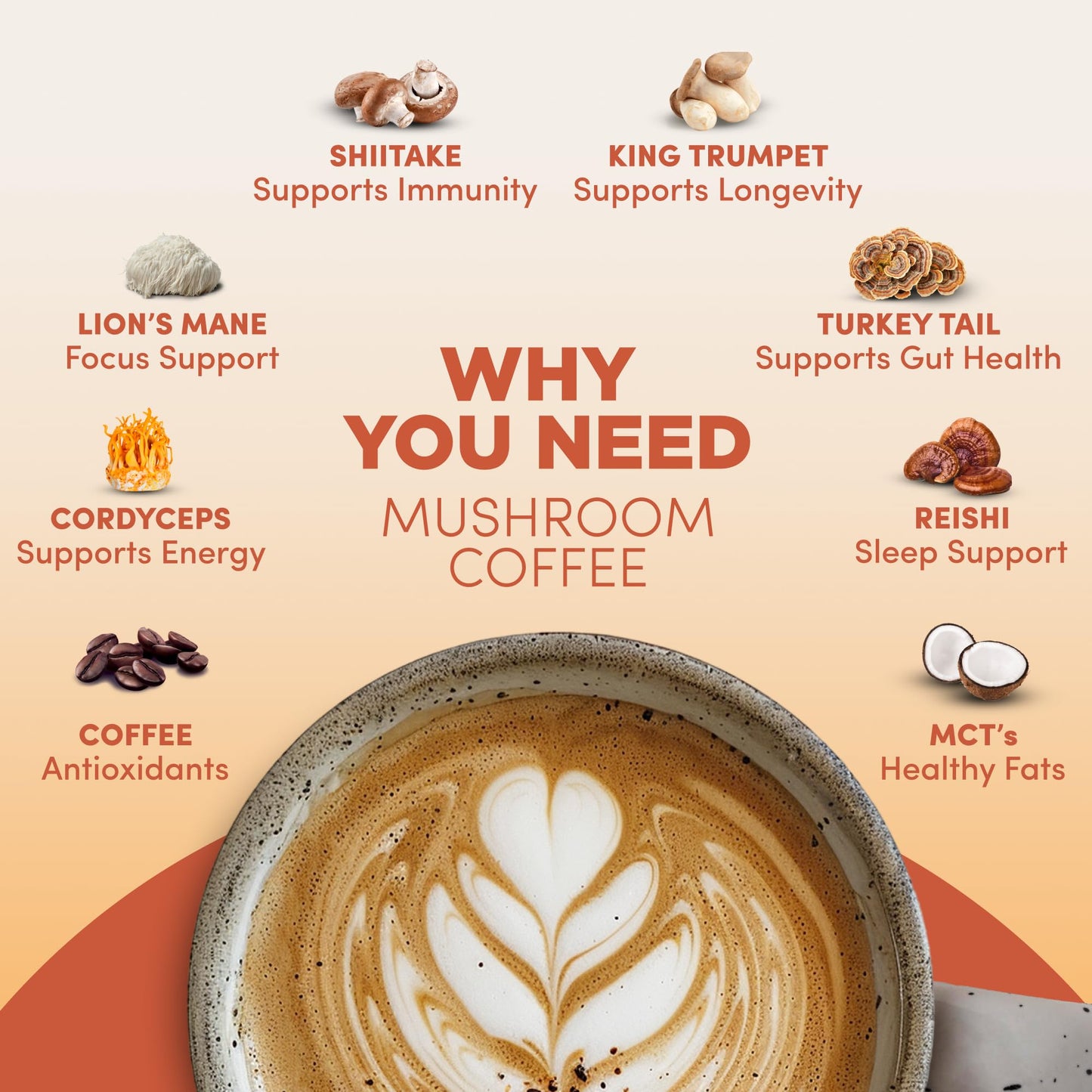 RYZE SUPERFOODS Mushroom Coffee USDA Organic with 6 Adaptogenic Mushrooms and MCT Oil, USA Grown Instant Coffee for Better Energy, Focus, Digestion, Immunity with Lions Mane & Turkey Tail, 30 servings - Fresh Hearth