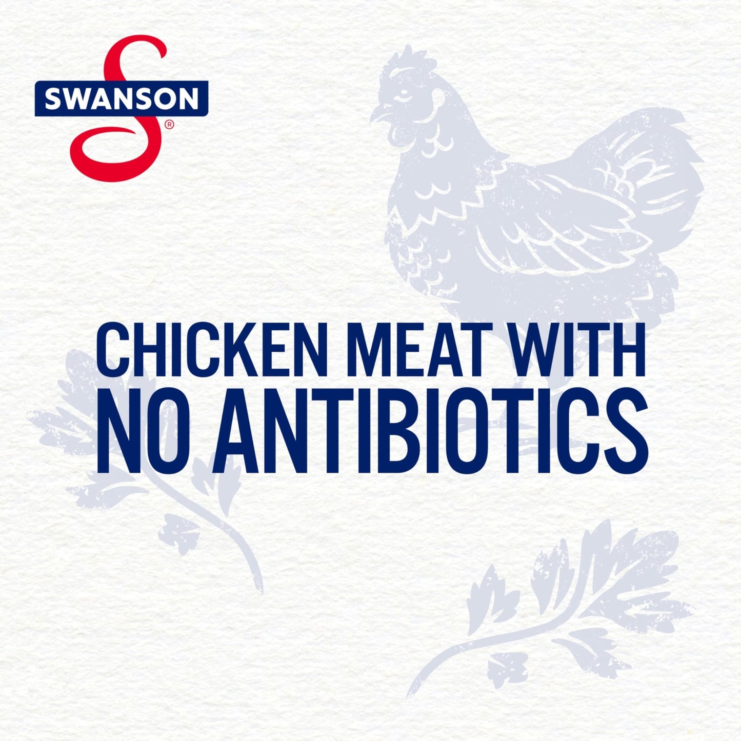 Swanson Canned Chicken and Dumplings With White and Dark Chicken Meat, 10.5 OZ Can (Case of 12) - Fresh Hearth