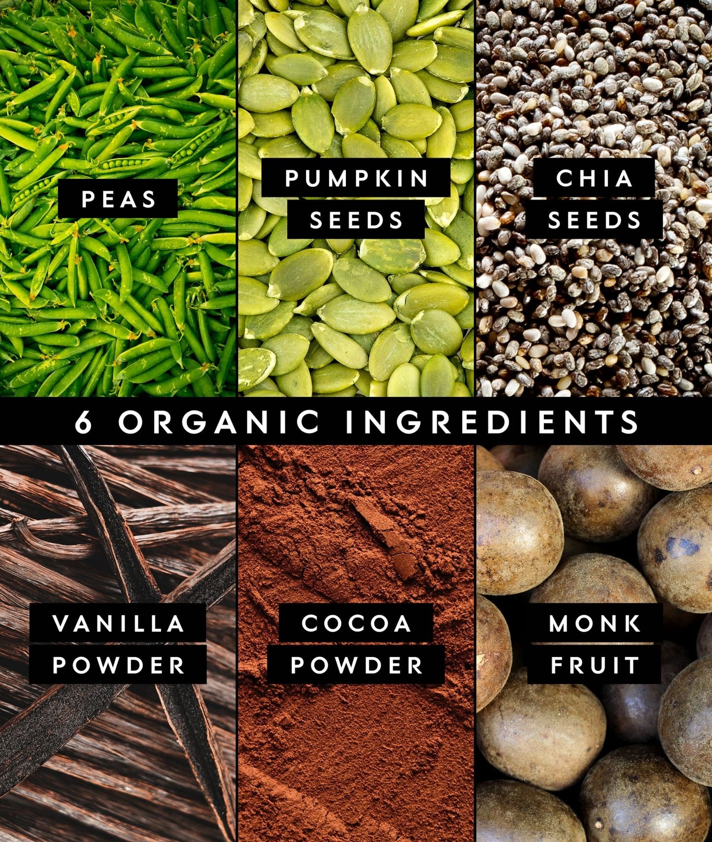 Truvani Vegan Pea Protein Powder | Chocolate | 20g Organic Plant Based Protein | 18 Servings | Keto | Gluten & Dairy Free | Low Carb | No Added Sugar - Fresh Hearth