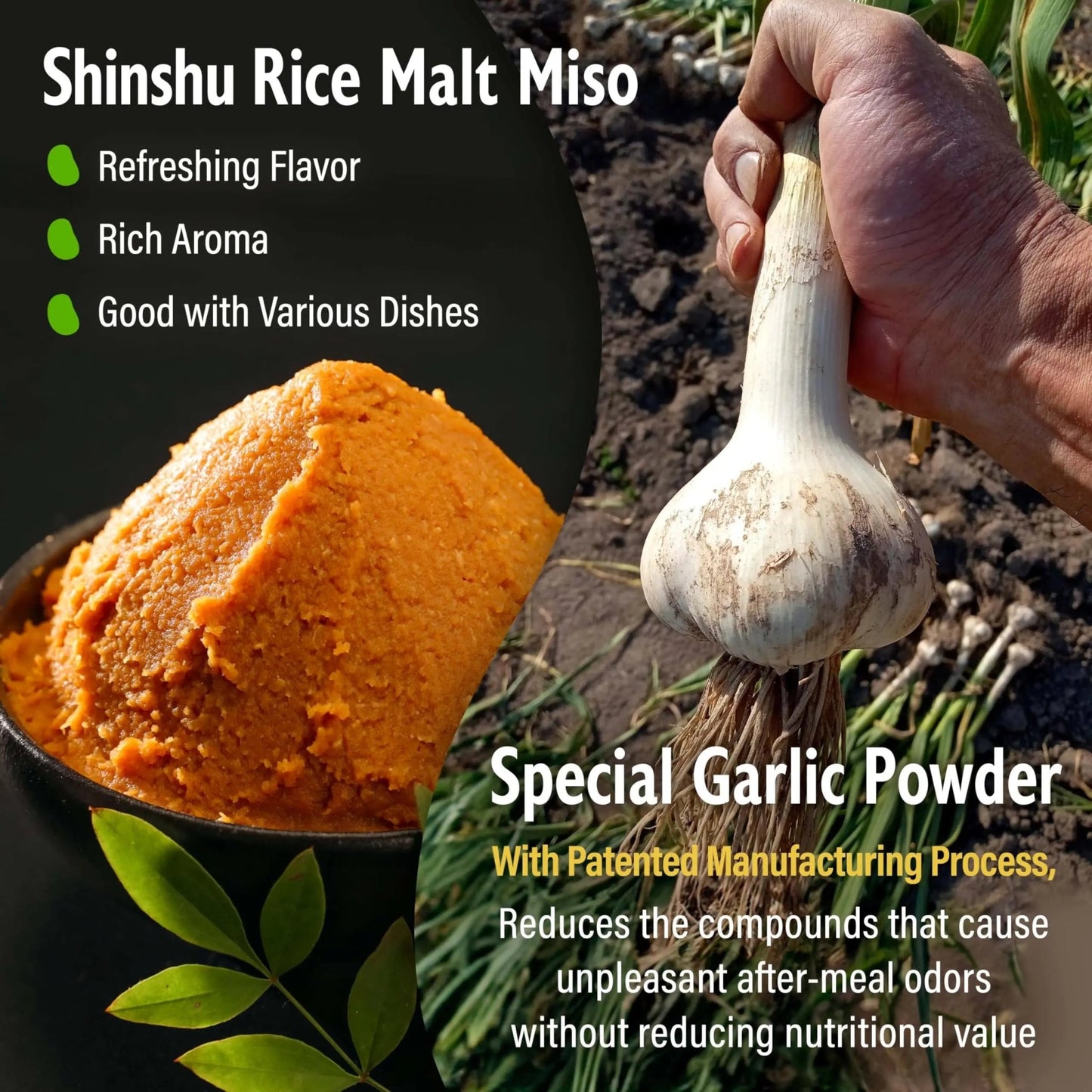 YAMASAN KYOTO UJI Japanese Dry Garlic Miso Seasoning, Freeze - Dried Miso Powder Mixed With Garlic Powder, Rich Aroma and Umami, No Additives, Vegan, Made in Japan 90g(3.17oz) - Fresh Hearth