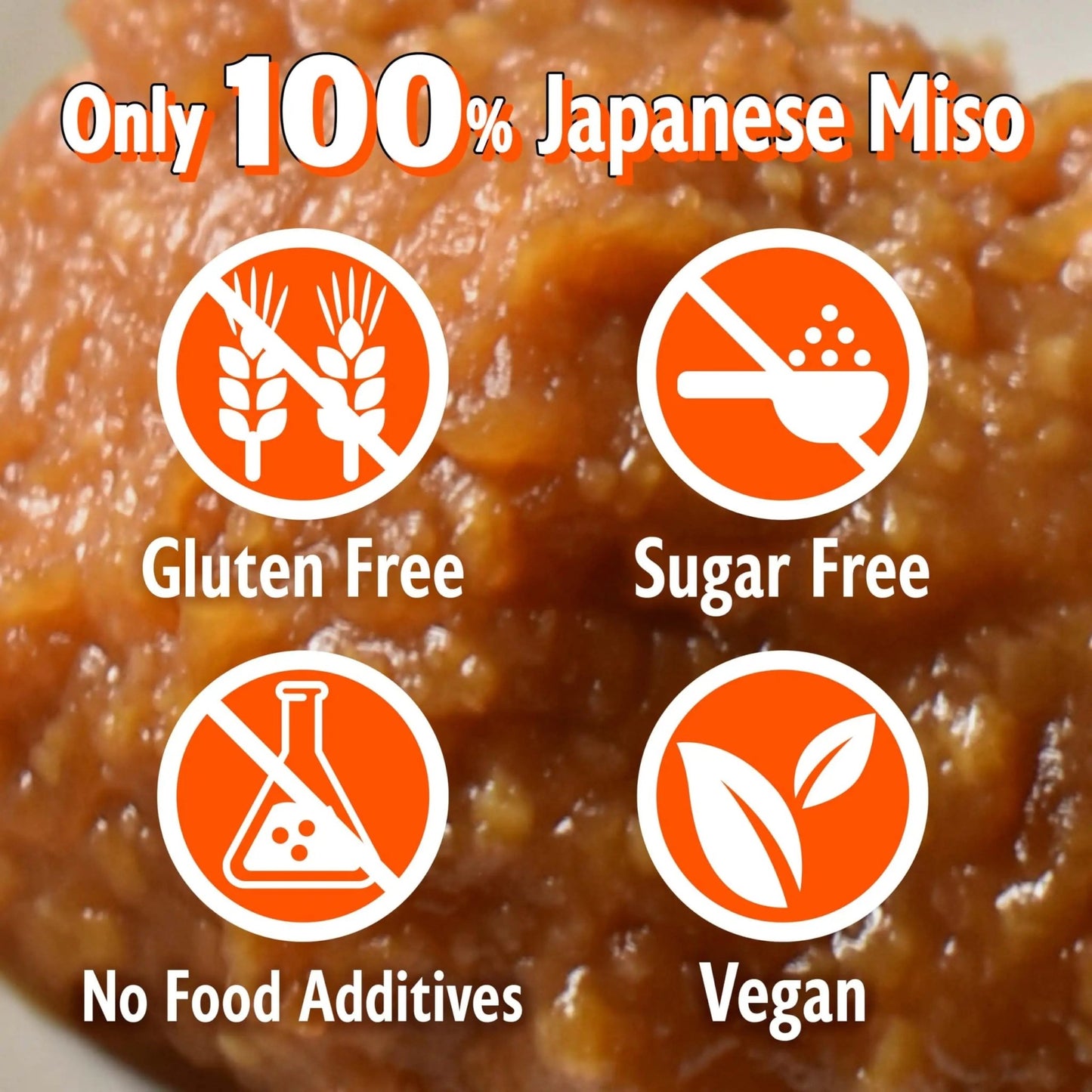 YAMASAN KYOTO UJI Japanese miso seasoning Dry Miso Seasoning, Freeze - Dried Miso Powder, No Additives, Vegan, Delicious Flavor for Various Foods, Made in Japan 100g(3.52oz) - Fresh Hearth