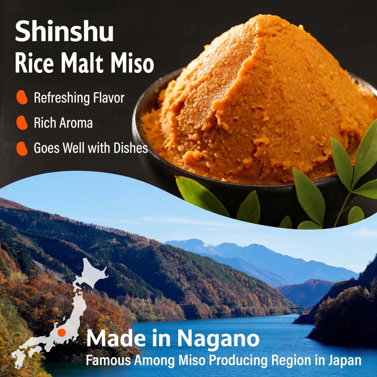 YAMASAN KYOTO UJI Japanese miso seasoning Dry Miso Seasoning, Freeze - Dried Miso Powder, No Additives, Vegan, Delicious Flavor for Various Foods, Made in Japan 100g(3.52oz) - Fresh Hearth