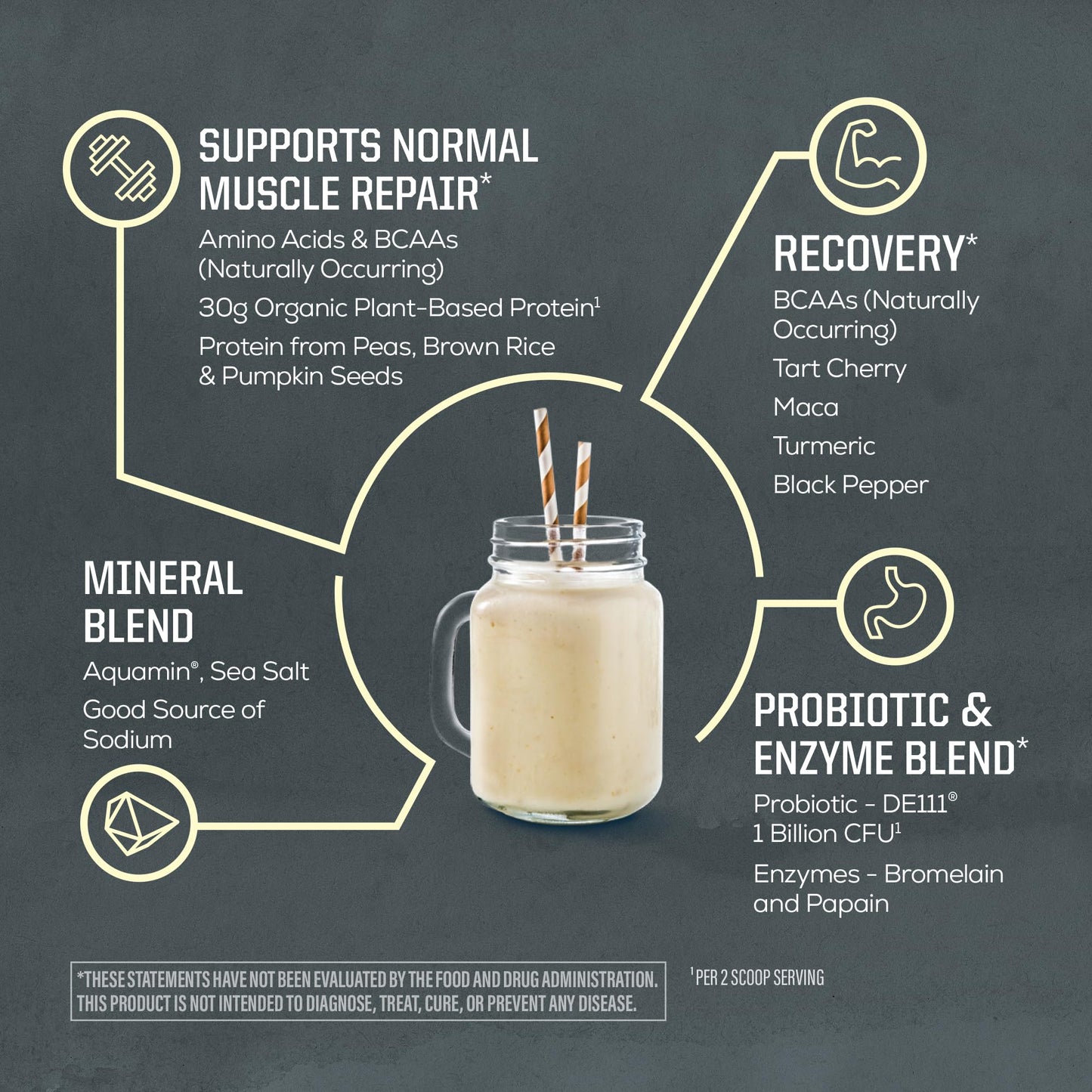 Sunwarrior Organic Plant Based Protein Powder | Vegan Organic Protein Powder with BCAA Amino Acids Plus Recovery Minerals & Botanicals | Non-GMO Soy Dairy & Gluten Free (Vanilla, 20 Servings)