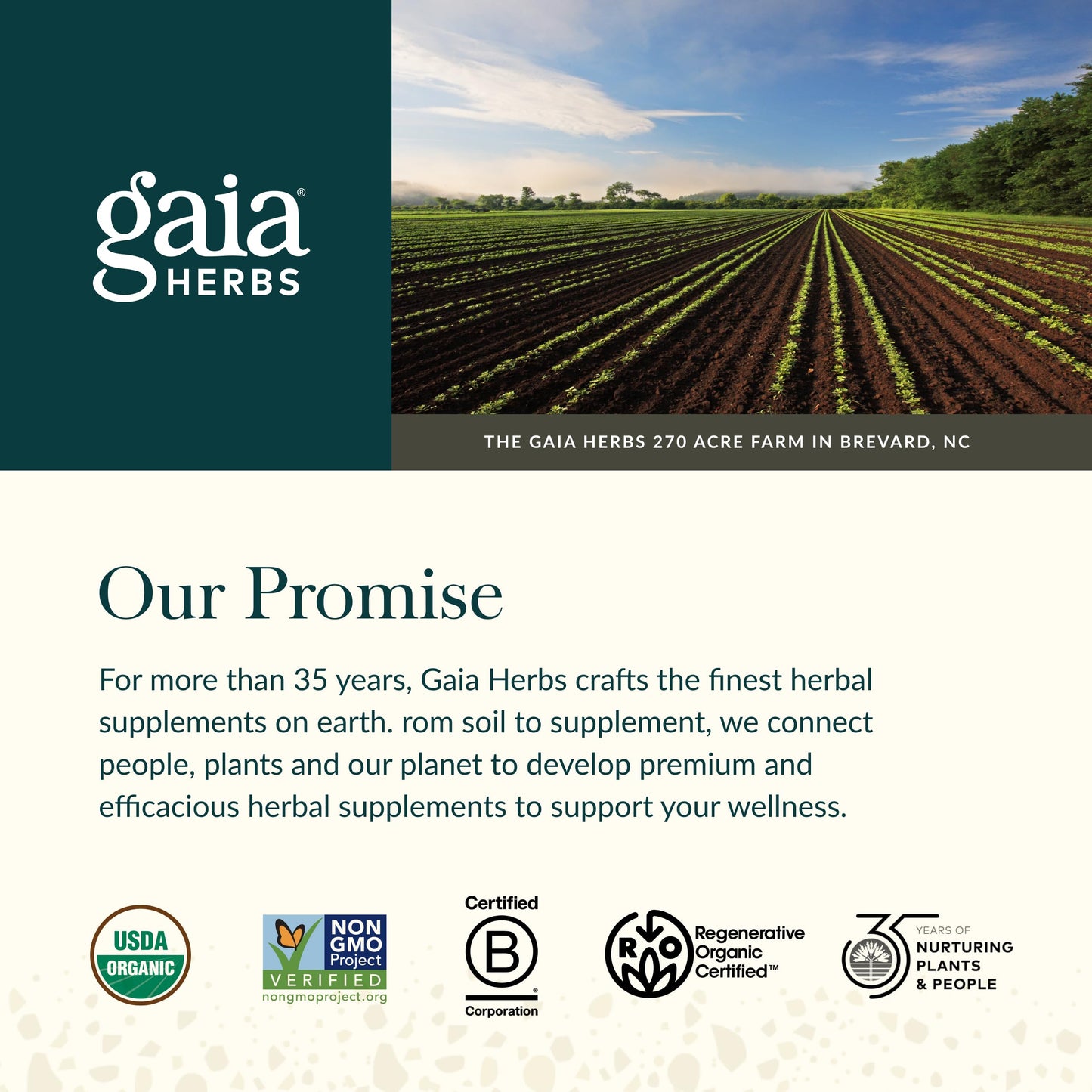 Gaia Herbs Thyroid Support - Made with Ashwagandha, Kelp, Brown Seaweed & Schisandra to Support Healthy Metabolic Balance & Overall Well-Being* - 60 Vegan Liquid Phyto-Caps (30 Servings)