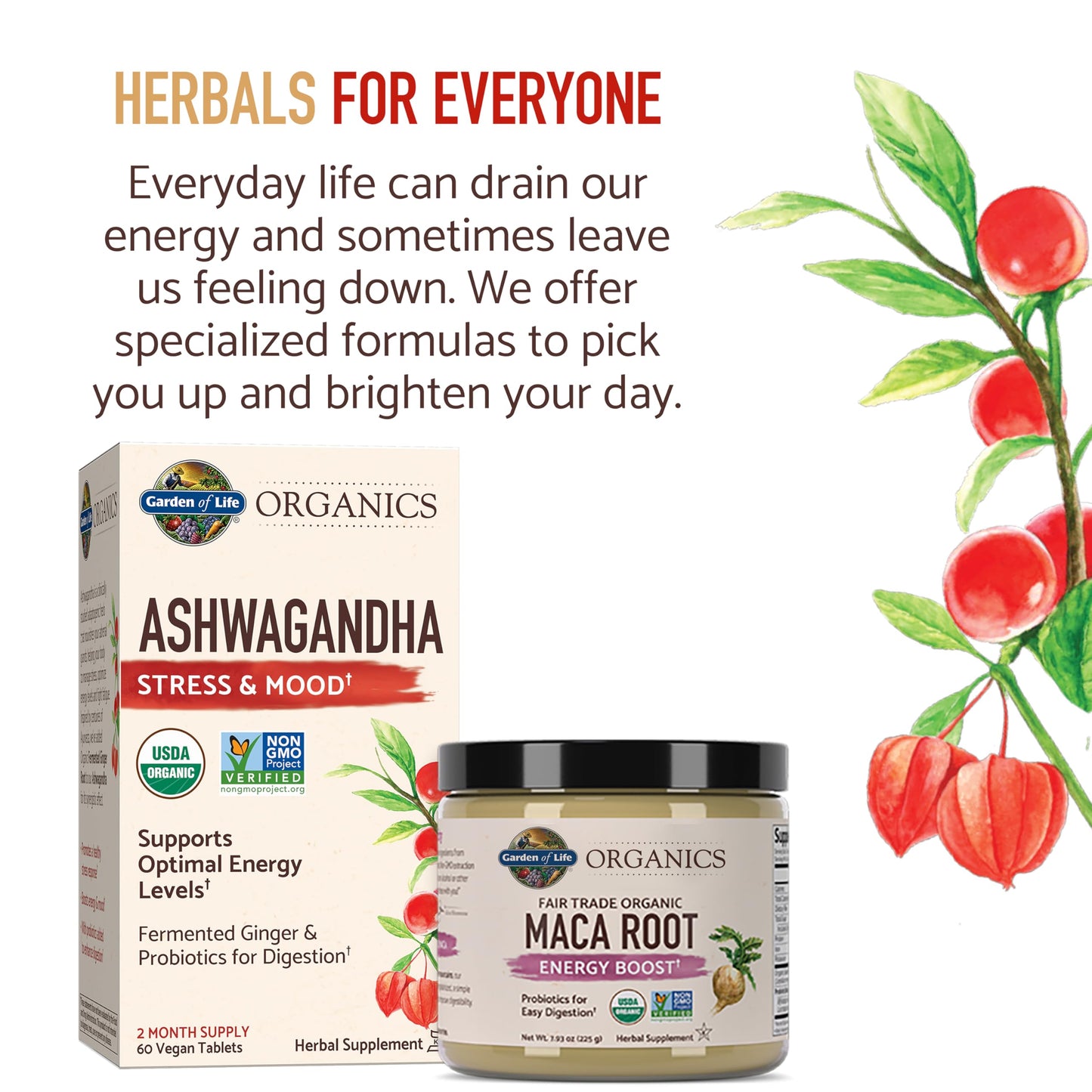 Garden of Life Organic Ashwagandha Supplement with Probiotics & Ginger - Stress, Mood & Energy Support, Vegan, Gluten Free, Non GMO, 2 Month Supply, 60 Tablets