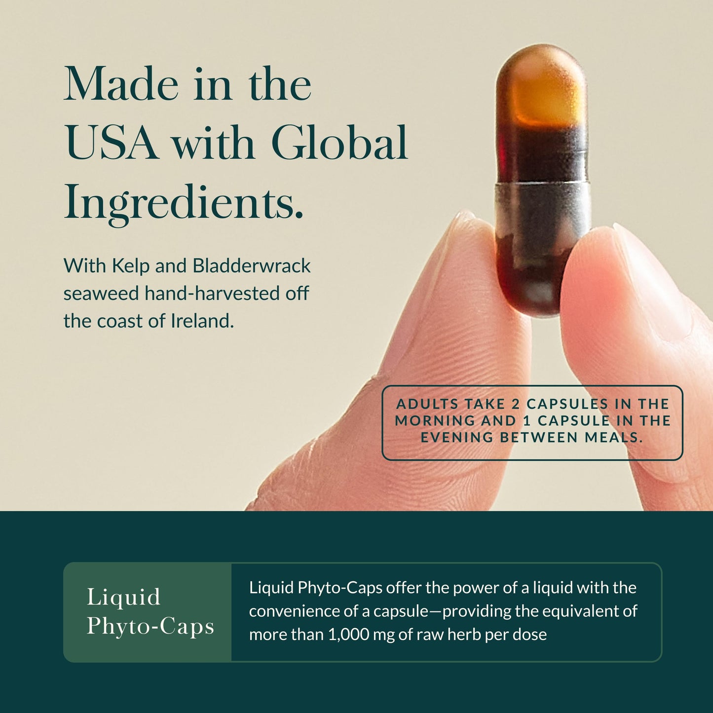 Gaia Herbs Thyroid Support - Made with Ashwagandha, Kelp, Brown Seaweed & Schisandra to Support Healthy Metabolic Balance & Overall Well-Being* - 60 Vegan Liquid Phyto-Caps (30 Servings)
