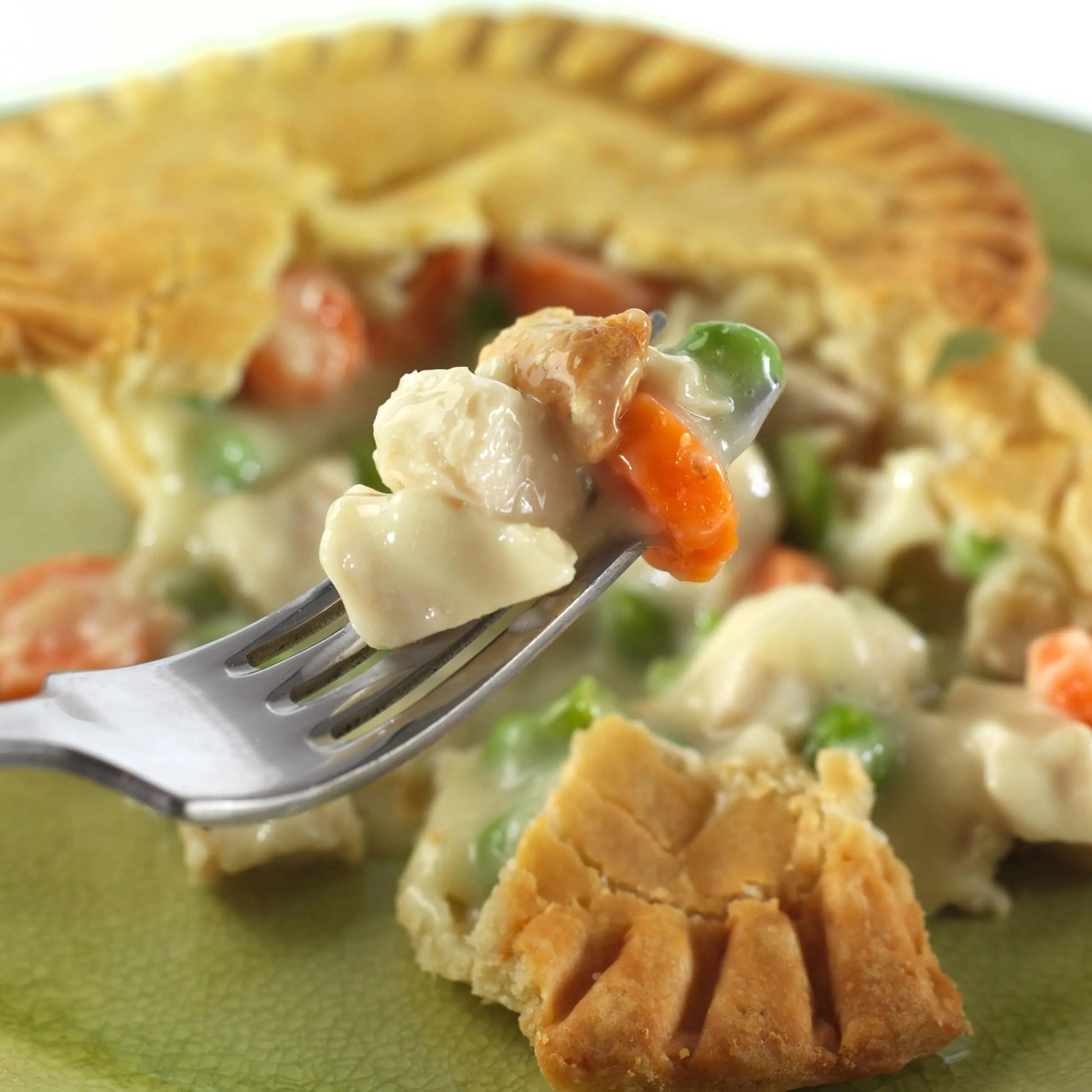 Augason Farms Cooked Freeze Dried White Meat Chicken Dices Can, Emergency Food Supply, Everyday Meals, 15 Servings - Fresh Hearth