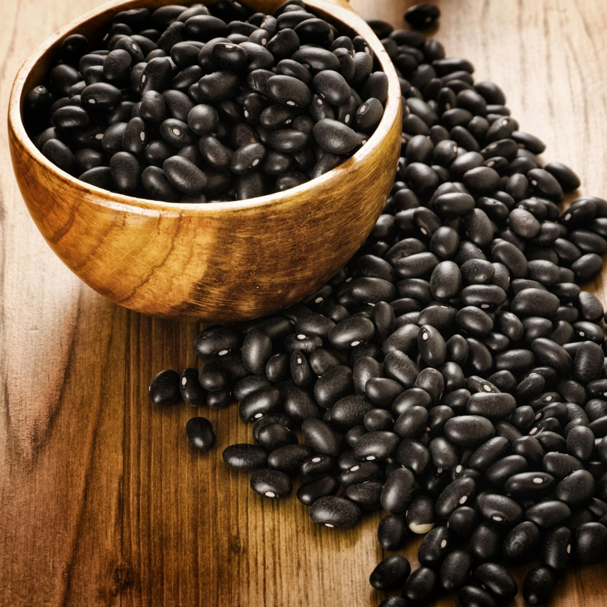 Augason Farms Dried Black Beans 4 - Gallon Pail, Bulk Food Storage, Emergency Food Supply, Everyday Meals, 237 Servings - Fresh Hearth