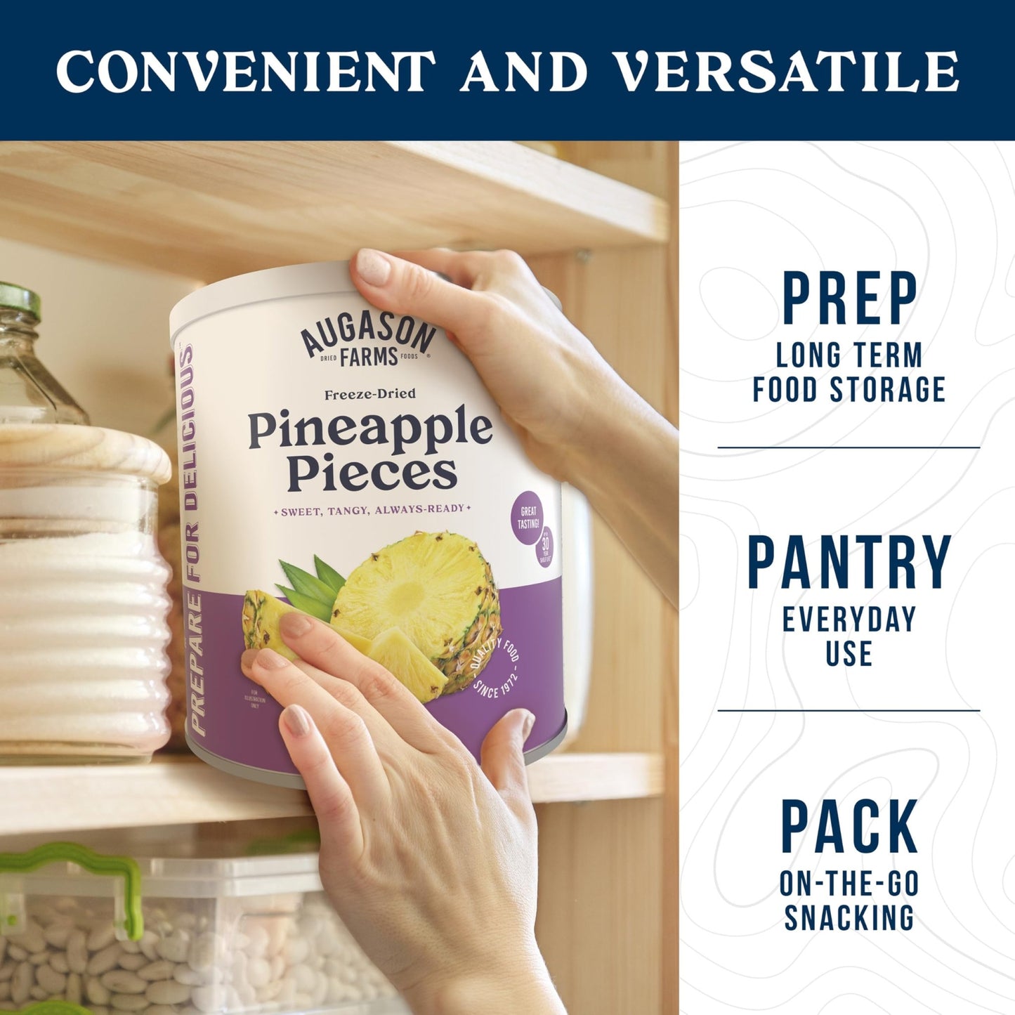 Augason Farms Freeze Dried Pineapple Pieces Can, Emergency Food Supply, Everyday Meals, 34 Servings - Fresh Hearth