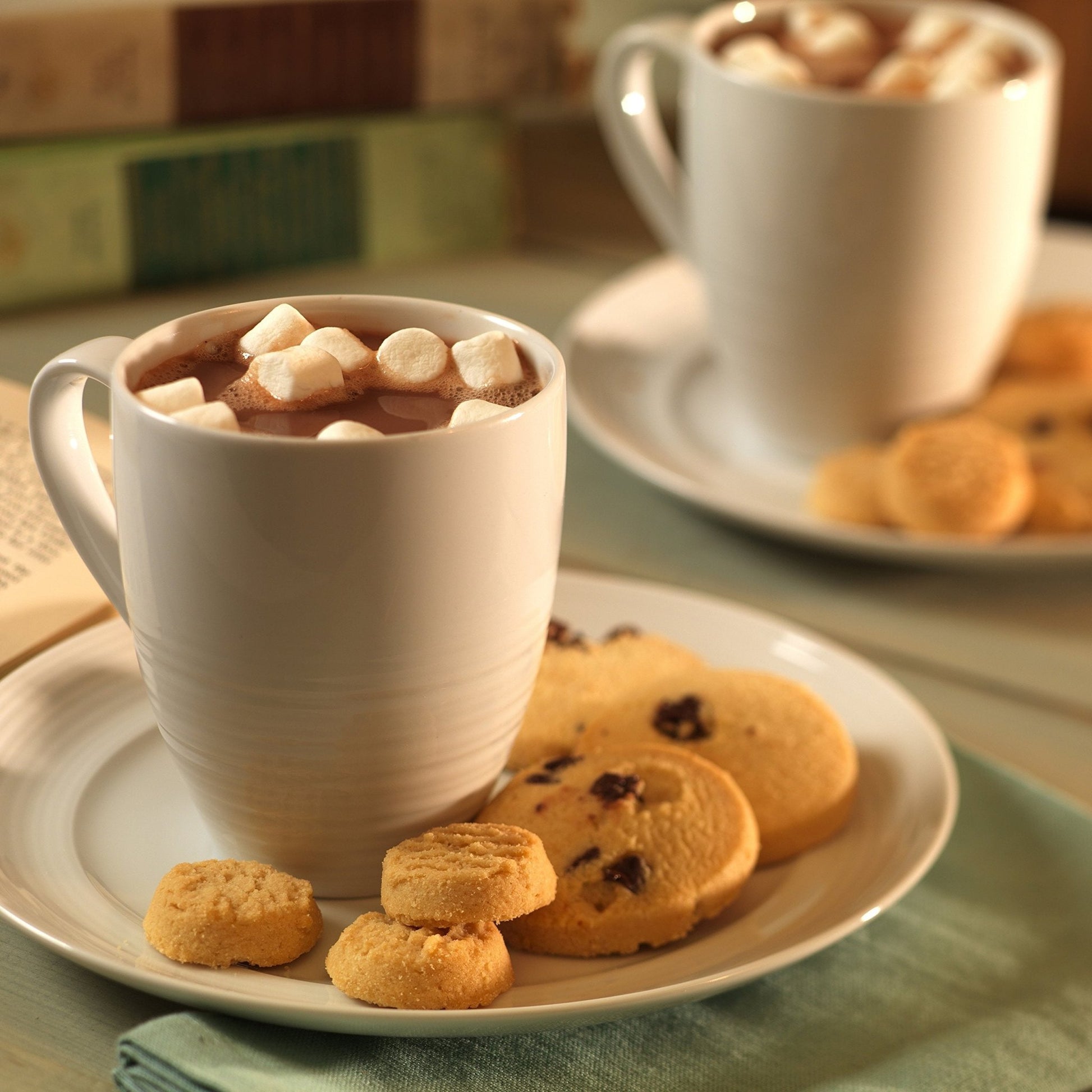 Augason Farms Morning Moo's Chocolate Low Fat Milk Alternative Can, Emergency Food Supply, Everyday Meals, 67 Servings - Fresh Hearth