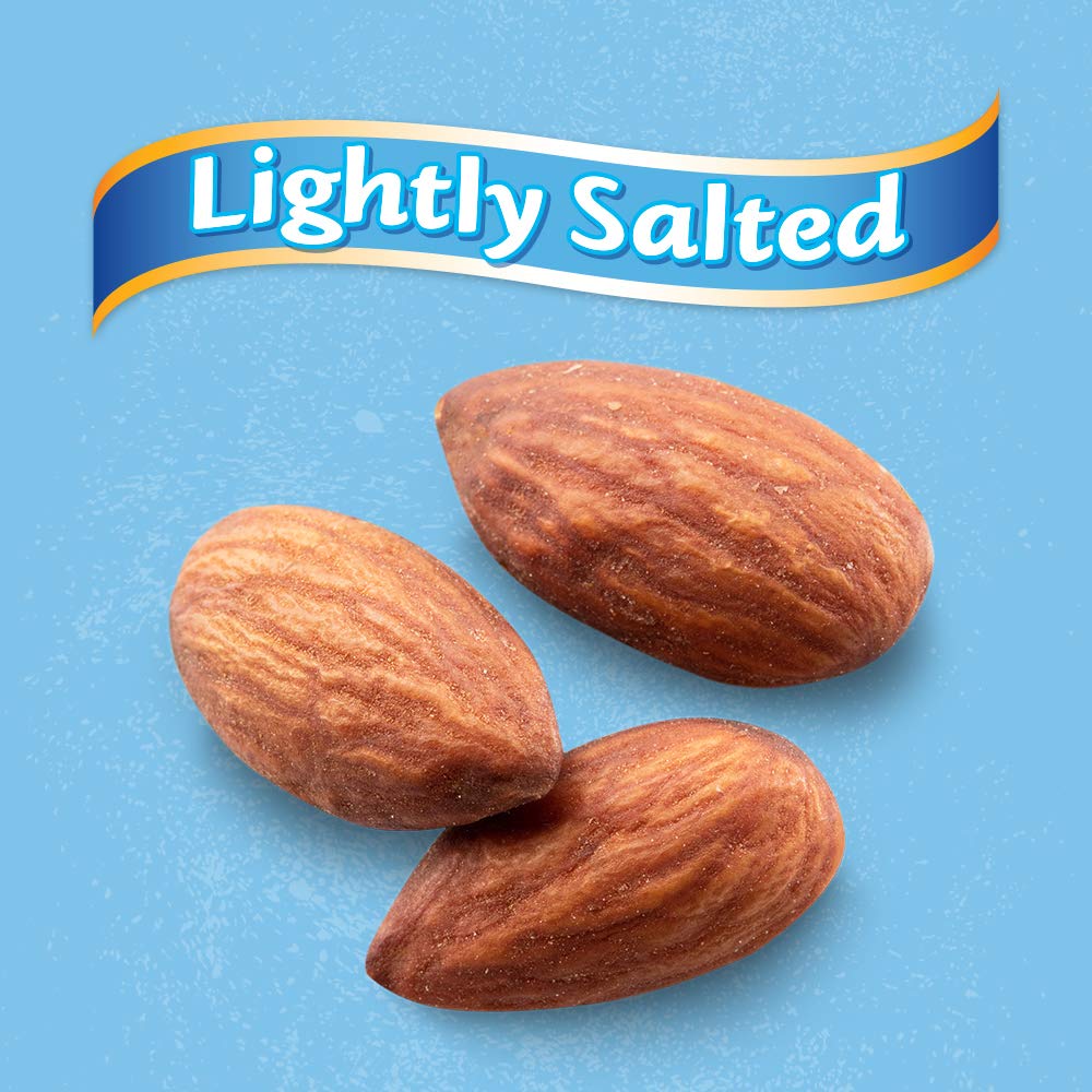 Blue Diamond Almonds Low Sodium Lightly Salted Snack Nuts, 100 Calorie Packs, 0.6 Ounce (Pack of 32) - Fresh Hearth