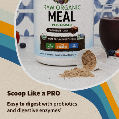 Garden of Life Meal Replacement Shakes, Vegan Raw Organic Protein Powder, Chocolate Protein Powder with Plant Based Pea Protein, Sprouts, Greens, Probiotics, Dairy Free 28 Servings - Fresh Hearth