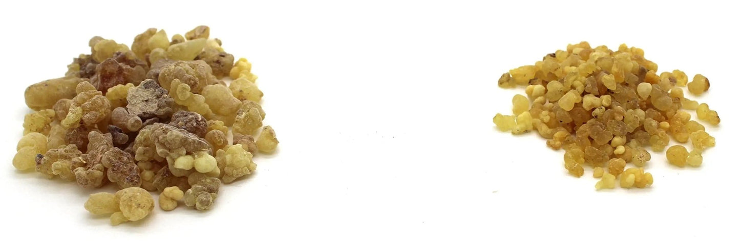 Govinda Frankincense Natural Gum Tree Sap Tears Quality A 1 lb - Fresh Hearth