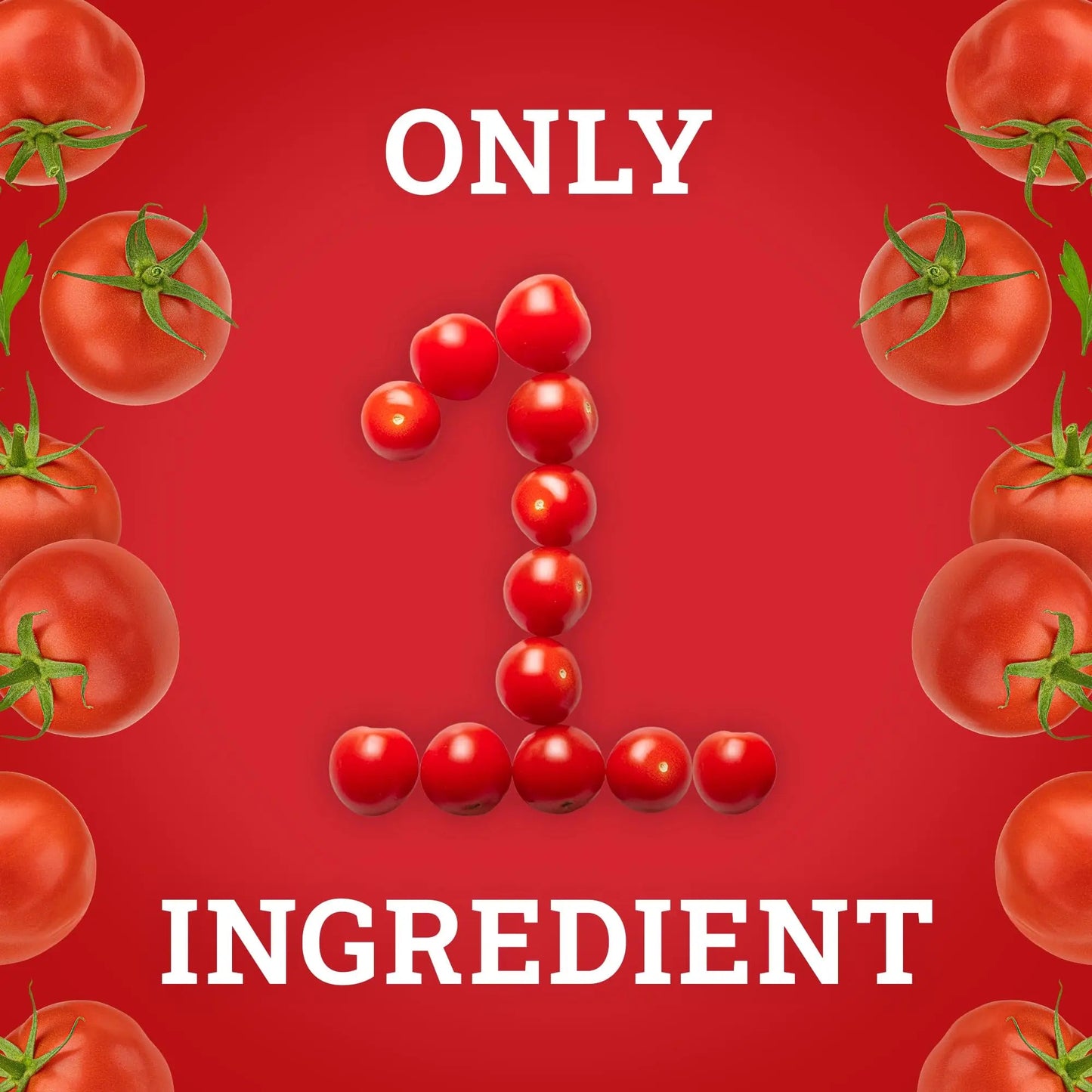 Hoosier Hill Farm Premium Tomato Powder, 12oz (Pack of 1) - Fresh Hearth