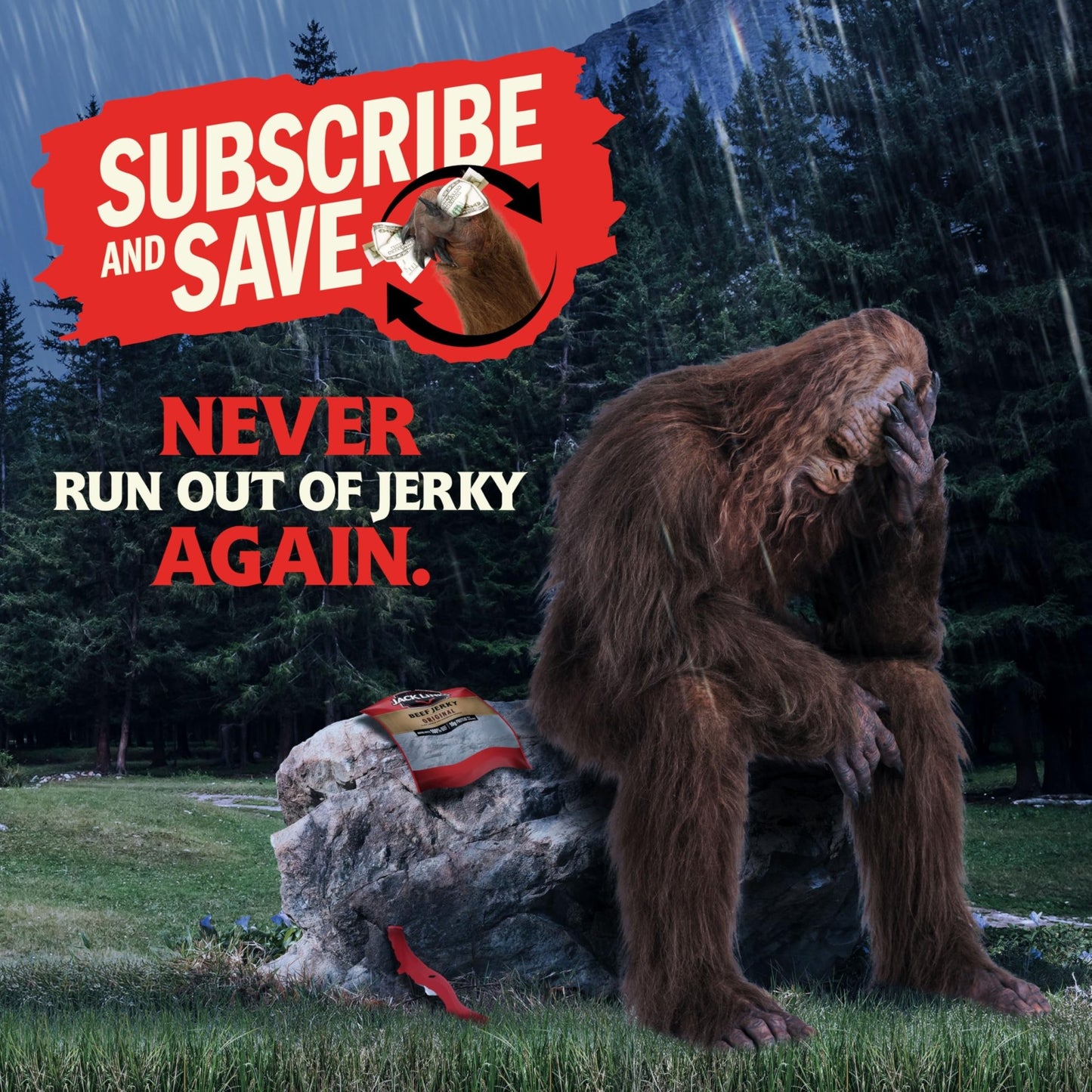 Jack Link's Beef Jerky Variety Pack - Includes Original and Teriyaki Jerky, Bulk Protein Snack Pack, Good Source of Protein, Meat Snacks Made with 100% Beef, Individual Bags - 1.25 Oz (Pack of 9) - Fresh Hearth