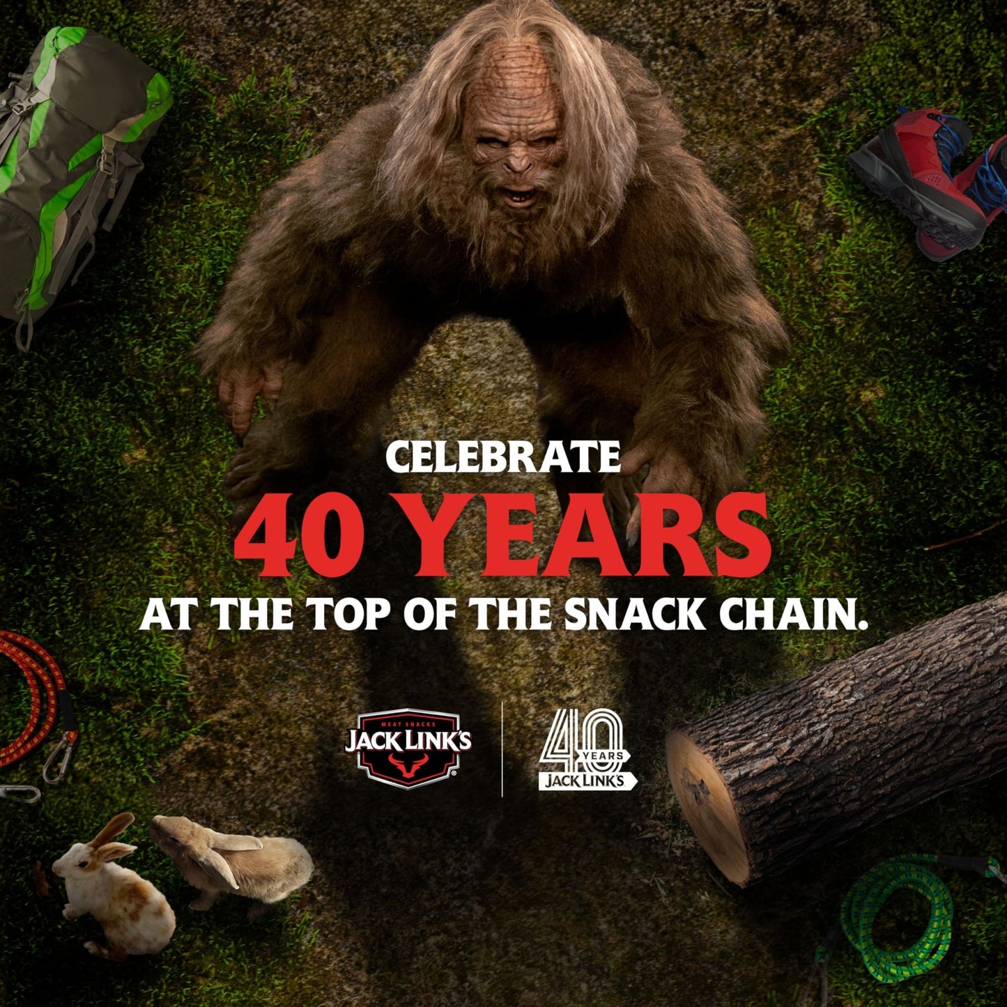 Jack Link's Beef Jerky Variety Pack - Includes Original and Teriyaki Jerky, Bulk Protein Snack Pack, Good Source of Protein, Meat Snacks Made with 100% Beef, Individual Bags - 1.25 Oz (Pack of 9) - Fresh Hearth