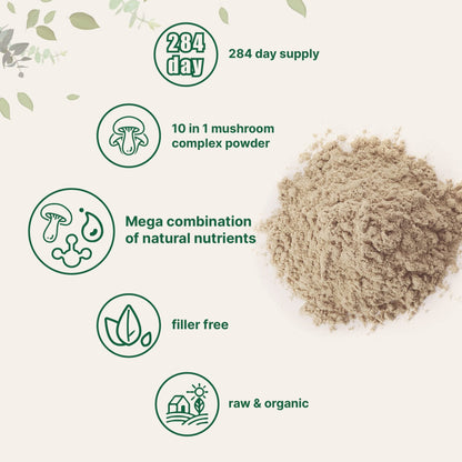 Micro Ingredients Organic Mega Mushroom Powder,10 Ounce (284 Days Supply) | 10 in 1 Complex Formula for Immune System Booster | Chaga, Lions Mane, Cordyceps, Reishi & More | Filler Free, Vegan - Fresh Hearth