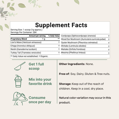 Micro Ingredients Organic Mega Mushroom Powder,10 Ounce (284 Days Supply) | 10 in 1 Complex Formula for Immune System Booster | Chaga, Lions Mane, Cordyceps, Reishi & More | Filler Free, Vegan - Fresh Hearth
