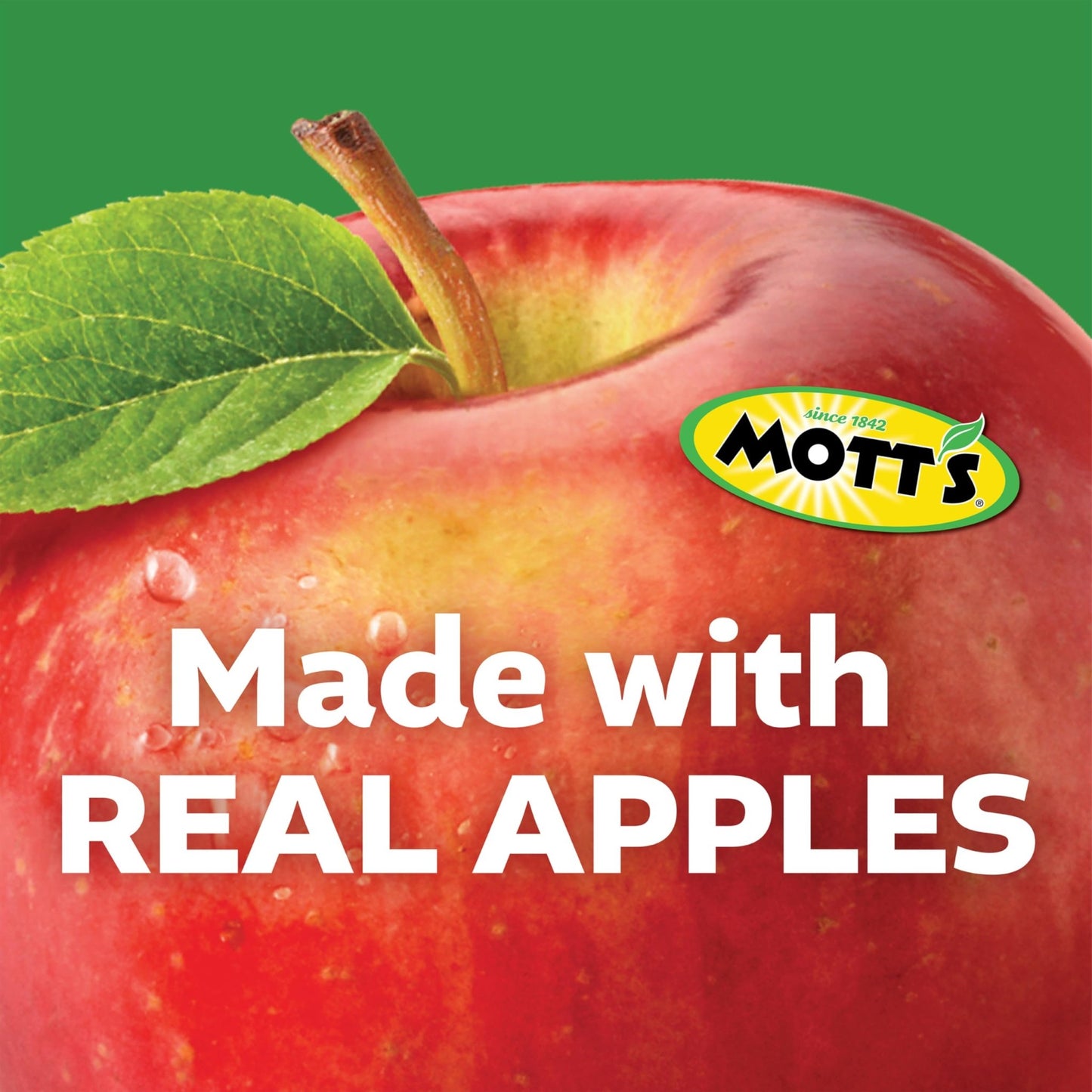 Mott's No Sugar Added Applesauce Variety Pack, 4 Flavors – Apple, Strawberry, Cinnamon & Blueberry, Made from Real Fruit, No Artificial Flavors, 3.2 Clear Pouches, 20 Pack - Fresh Hearth