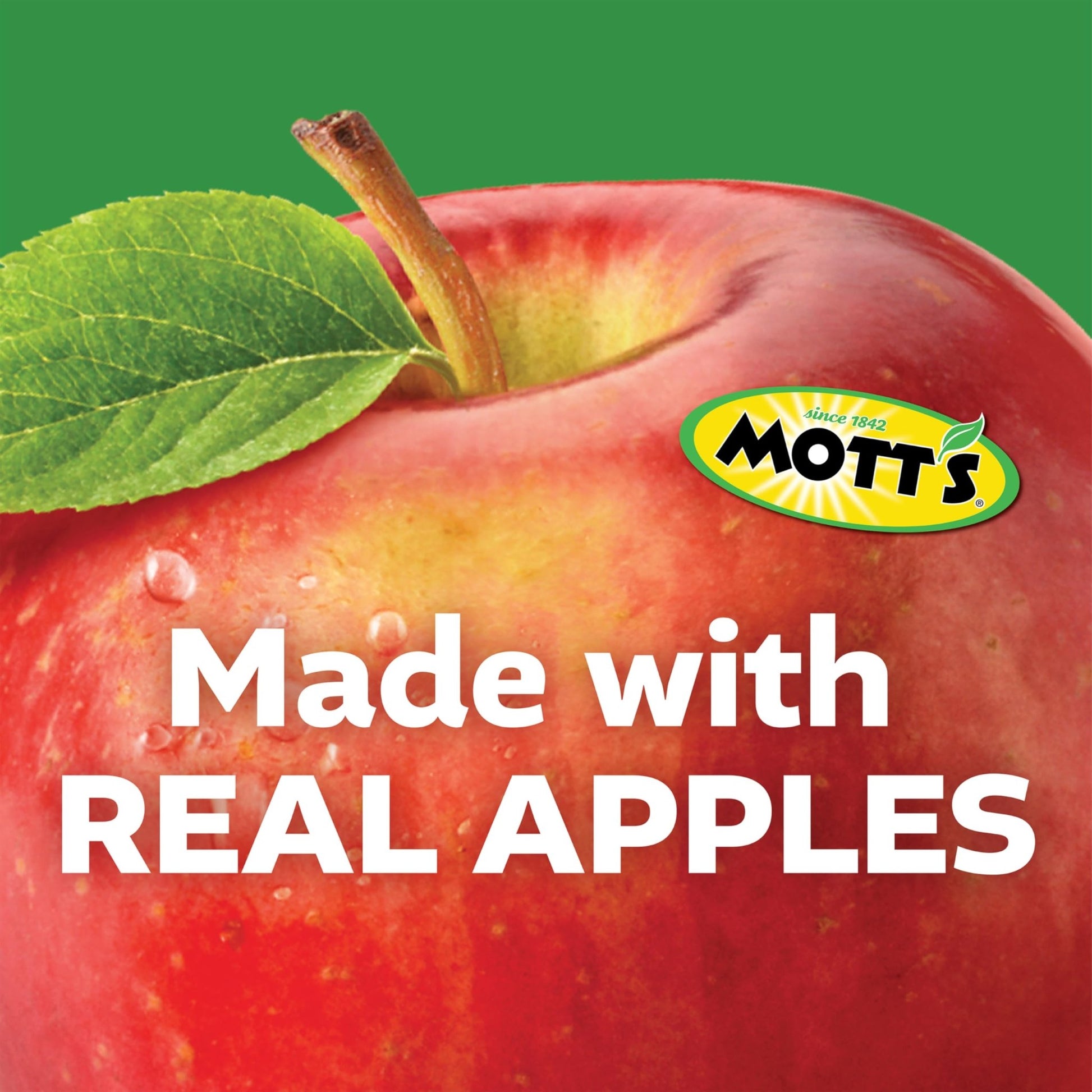 Mott's No Sugar Added Applesauce Variety Pack, 4 Flavors – Apple, Strawberry, Cinnamon & Blueberry, Made from Real Fruit, No Artificial Flavors, 3.2 Clear Pouches, 20 Pack - Fresh Hearth