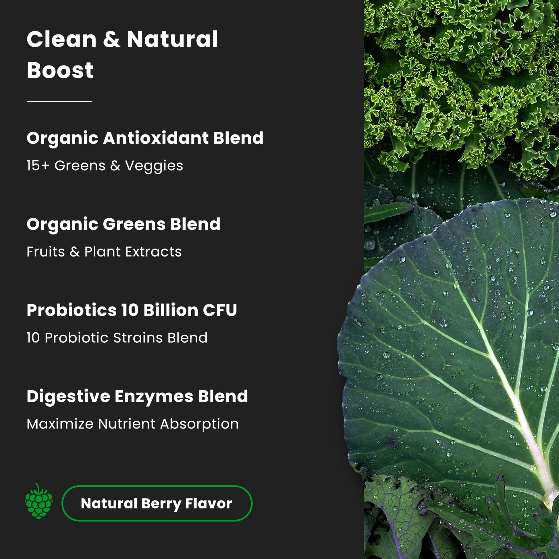 NutraChamps Super Greens Powder Premium Superfood | 20+ Organic Green Veggie Whole Foods | Wheat Grass, Spirulina, Chlorella | Antioxidant, Digestive Enzyme & Probiotic Blends (9.0 Oz, Berry) - Fresh Hearth