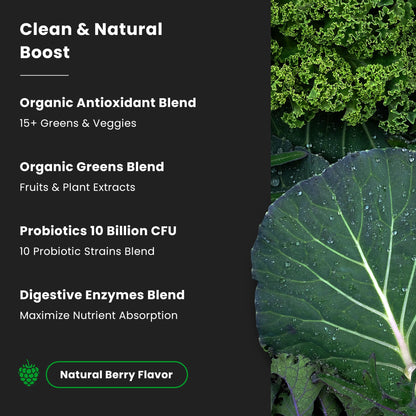 NutraChamps Super Greens Powder Premium Superfood | 20+ Organic Green Veggie Whole Foods | Wheat Grass, Spirulina, Chlorella | Antioxidant, Digestive Enzyme & Probiotic Blends (9.0 Oz, Berry) - Fresh Hearth