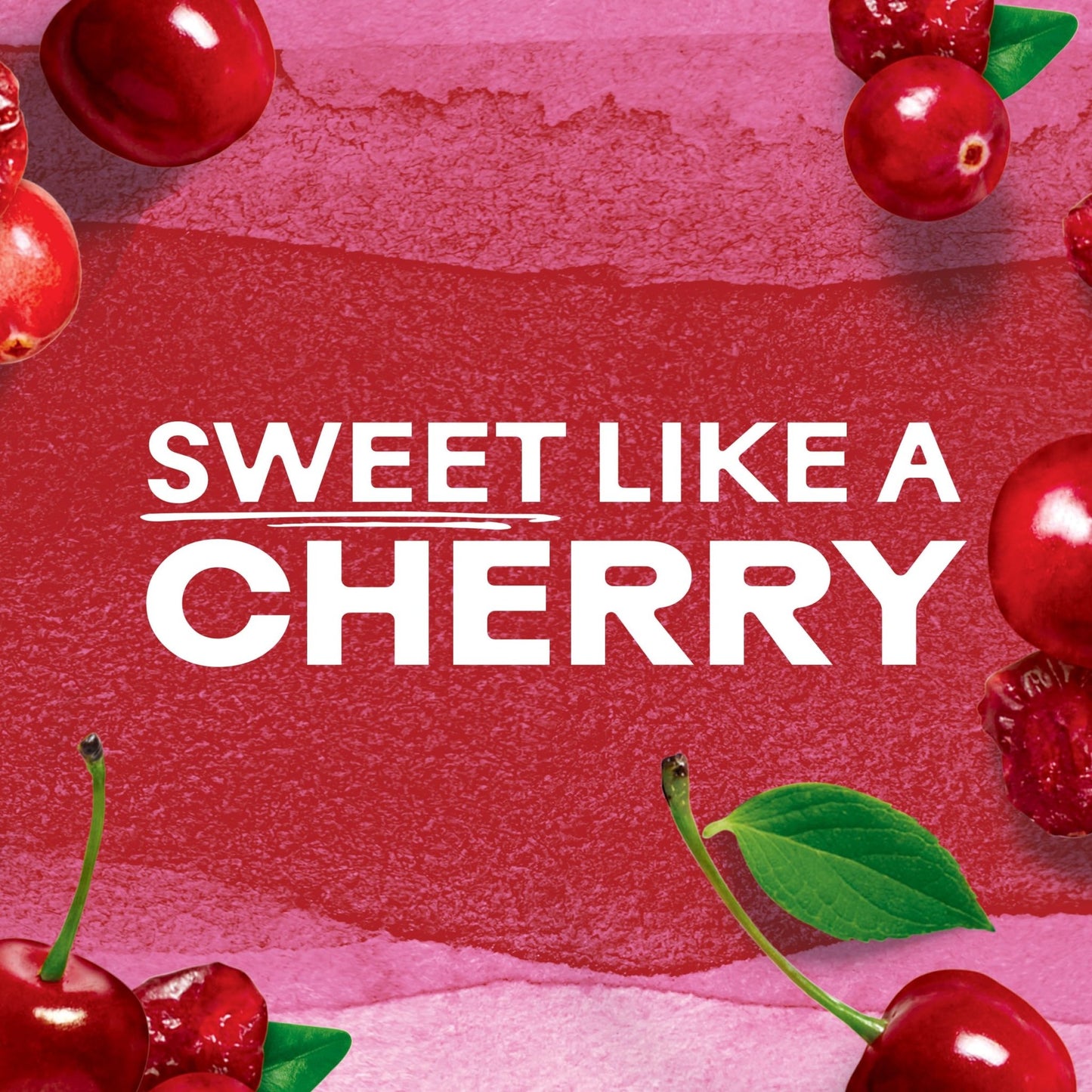 Ocean Spray Craisins, Sweetened Dried Cranberries, Cherry Flavored, 6 - Ounce Pouch (Pack of 12) - Fresh Hearth