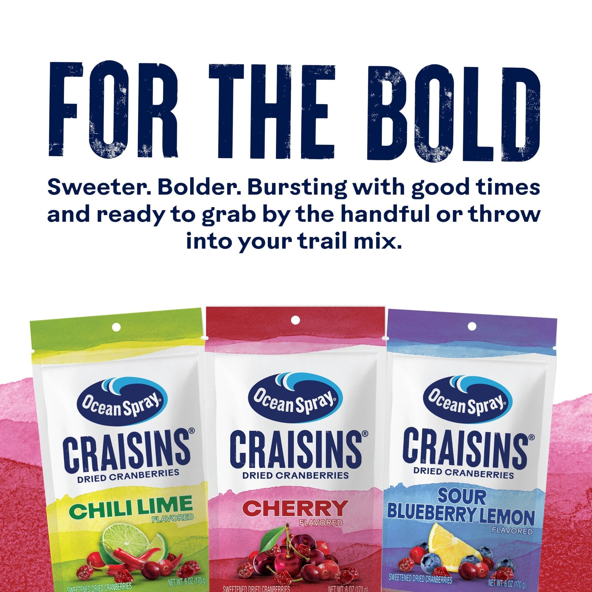 Ocean Spray Craisins, Sweetened Dried Cranberries, Cherry Flavored, 6 - Ounce Pouch (Pack of 12) - Fresh Hearth